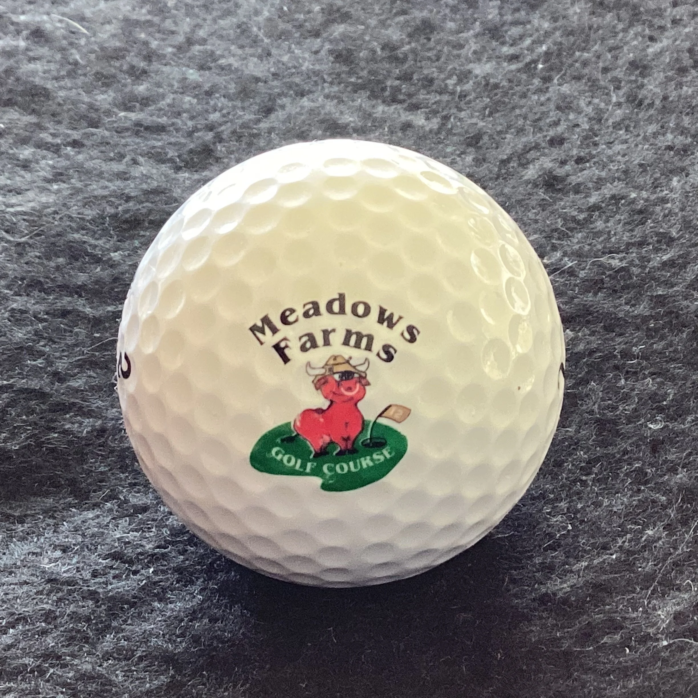 Meadow Farms Golf Course 