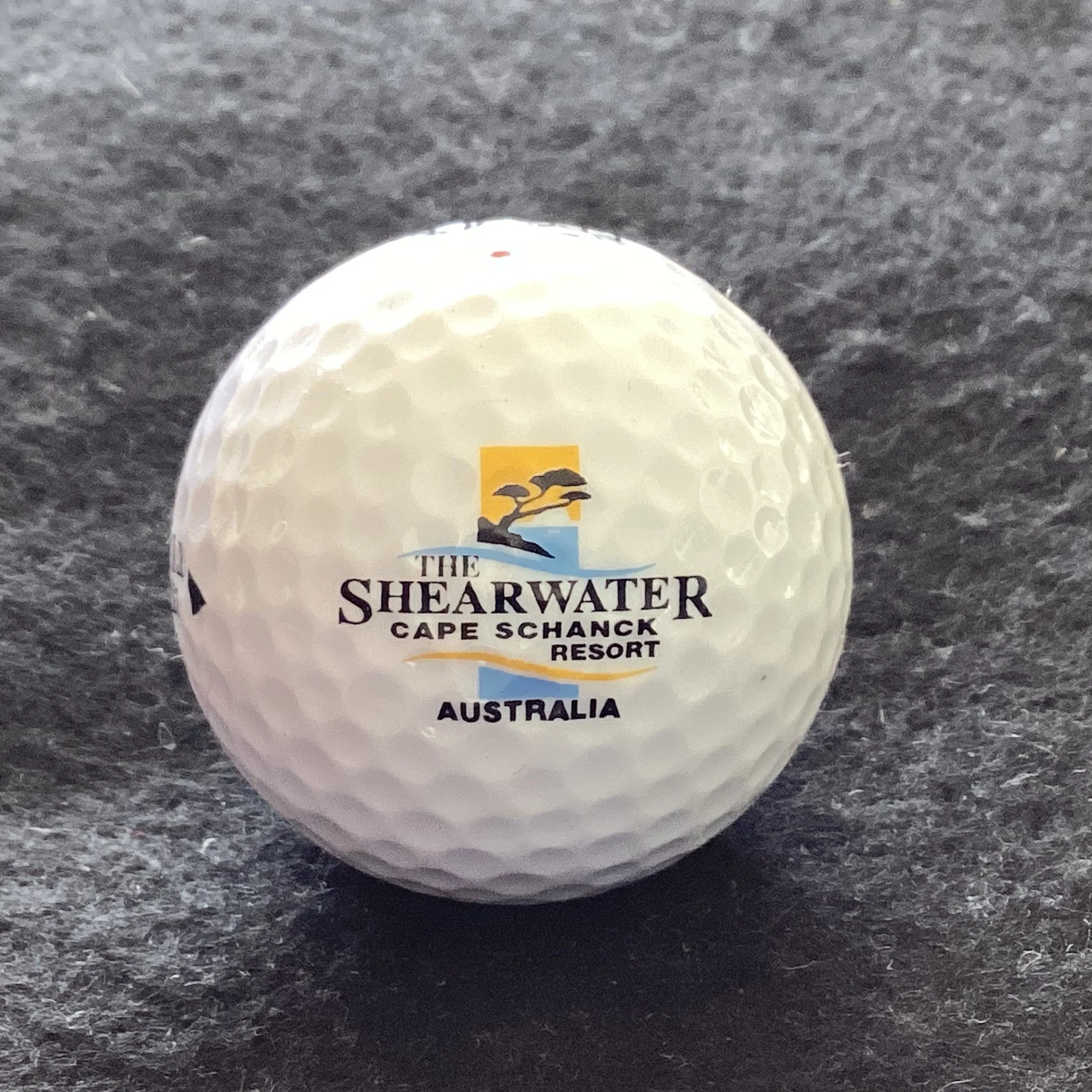 Shearwater - The Shearwater Cape Schanck Resort 