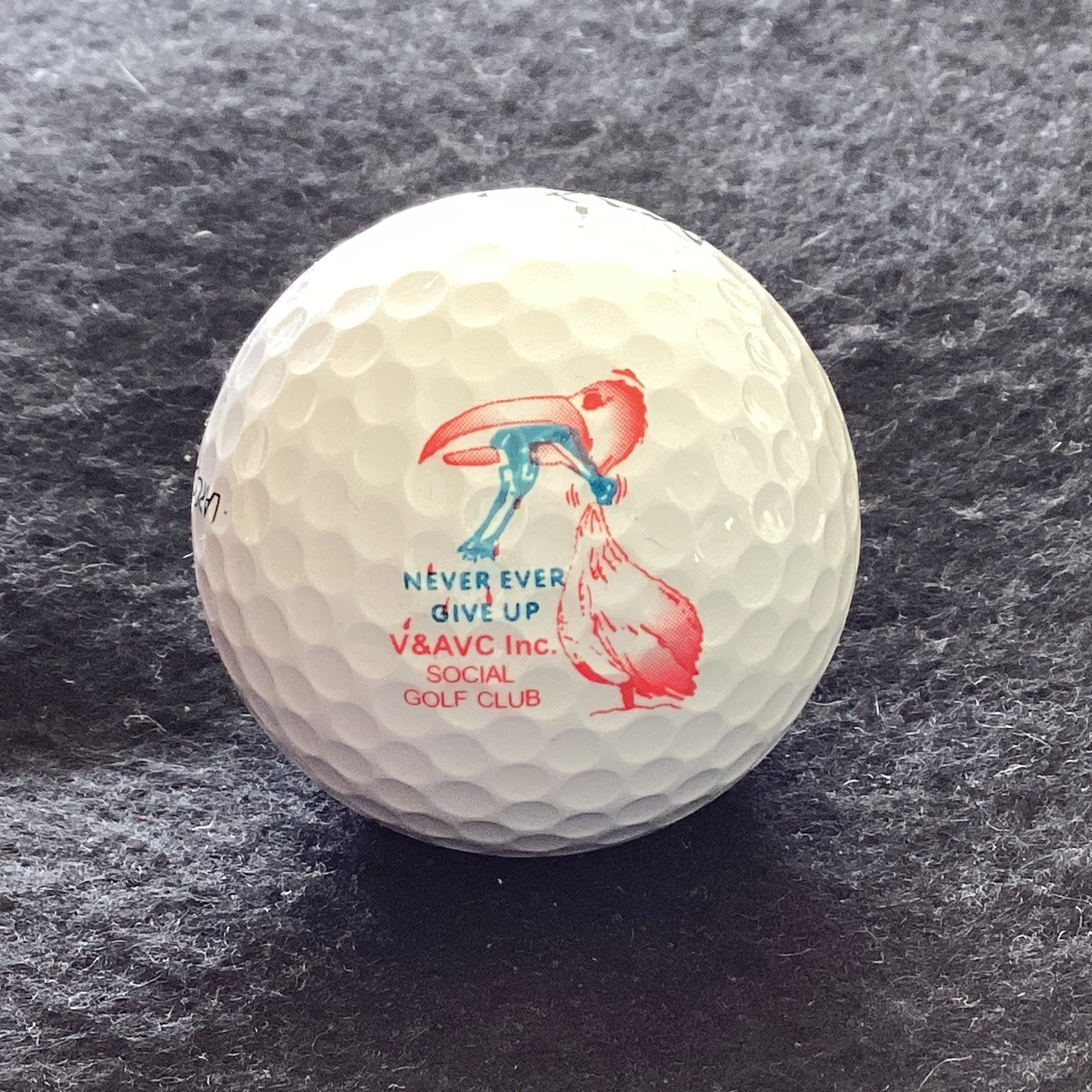 V and AVC Social Golf Club