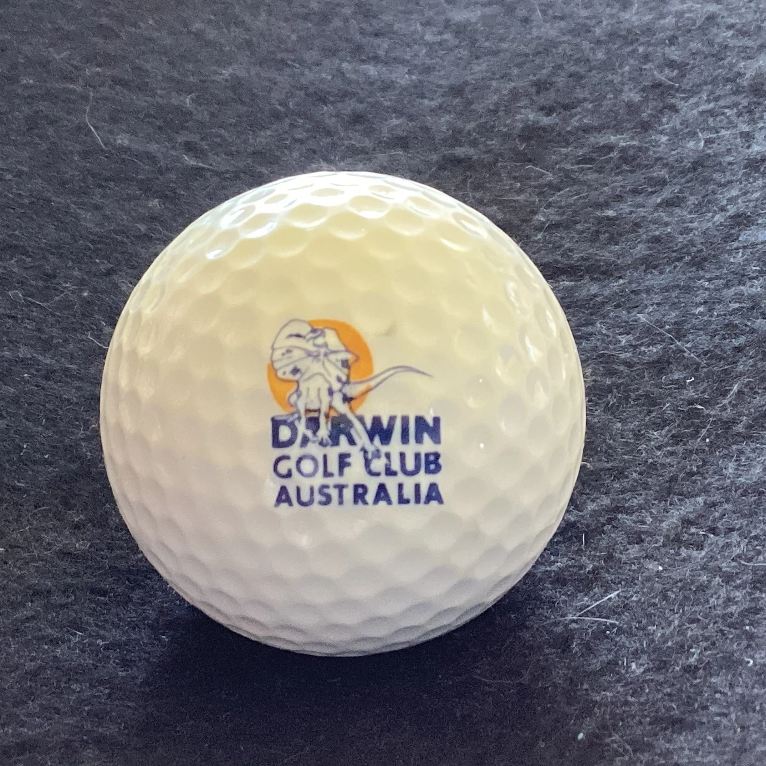 Darwin Golf Club 