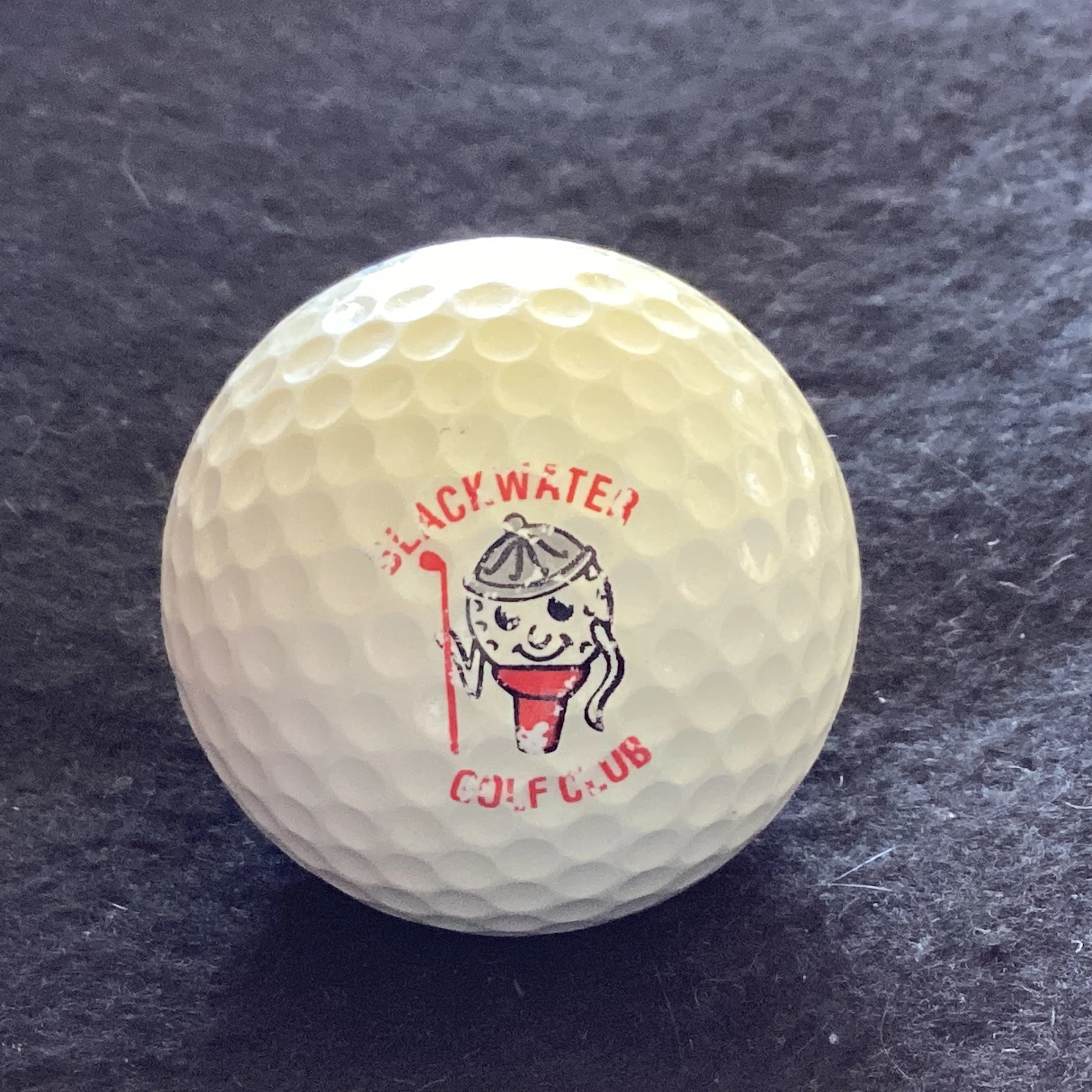 Black Water Golf Club 