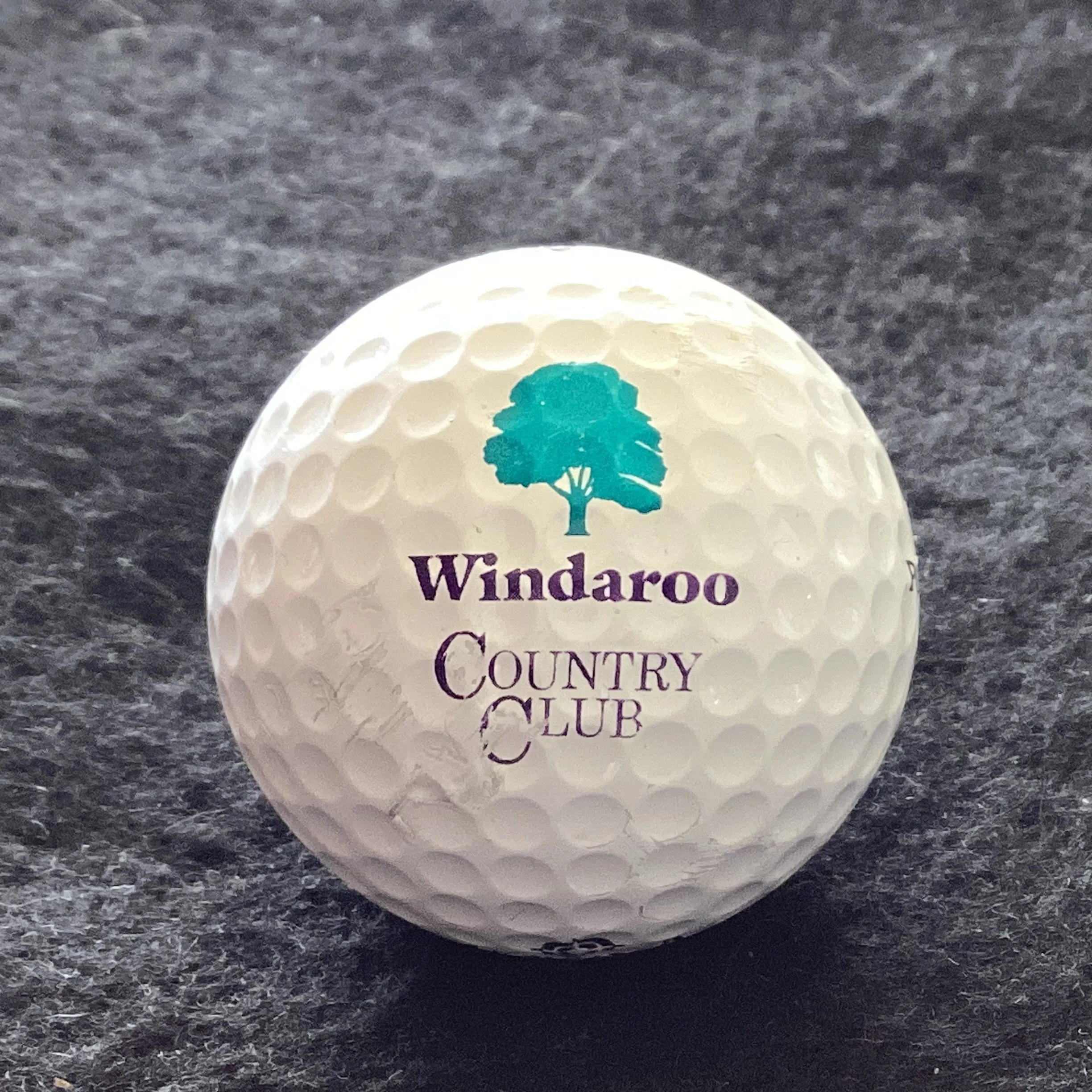 Windaroo Country Club
