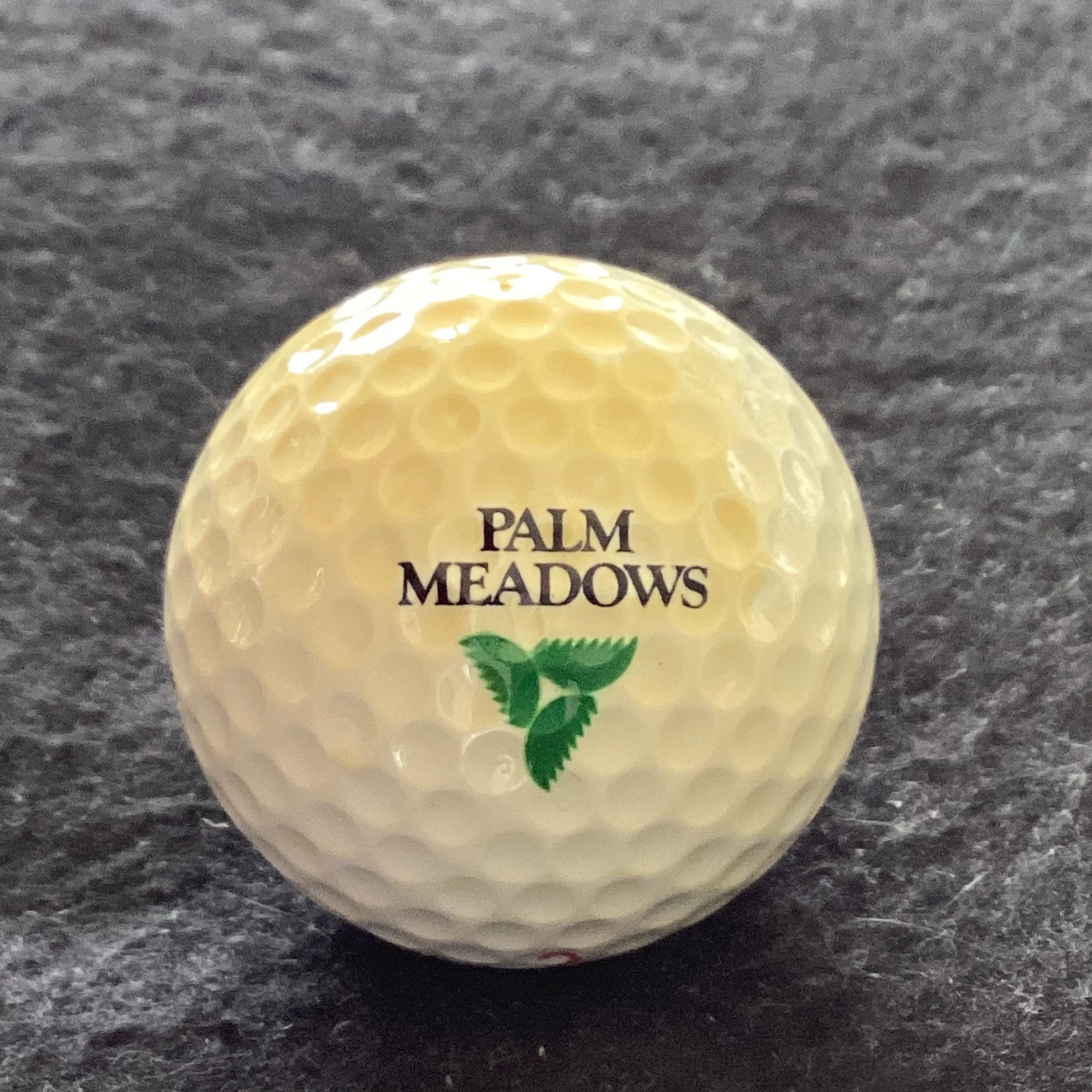 Palm Meadows Golf Club 
