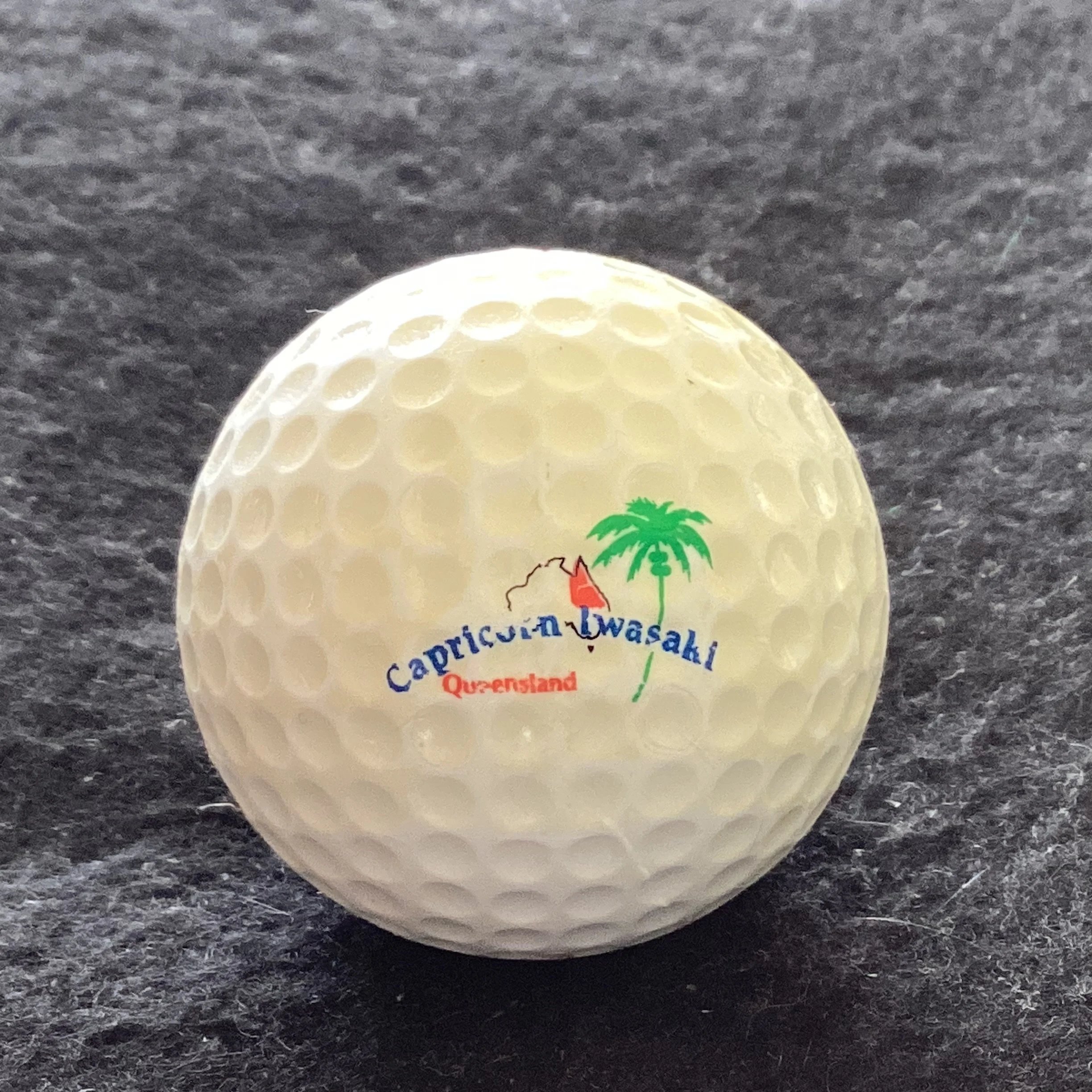 Capricorn Iwasaki Resort 