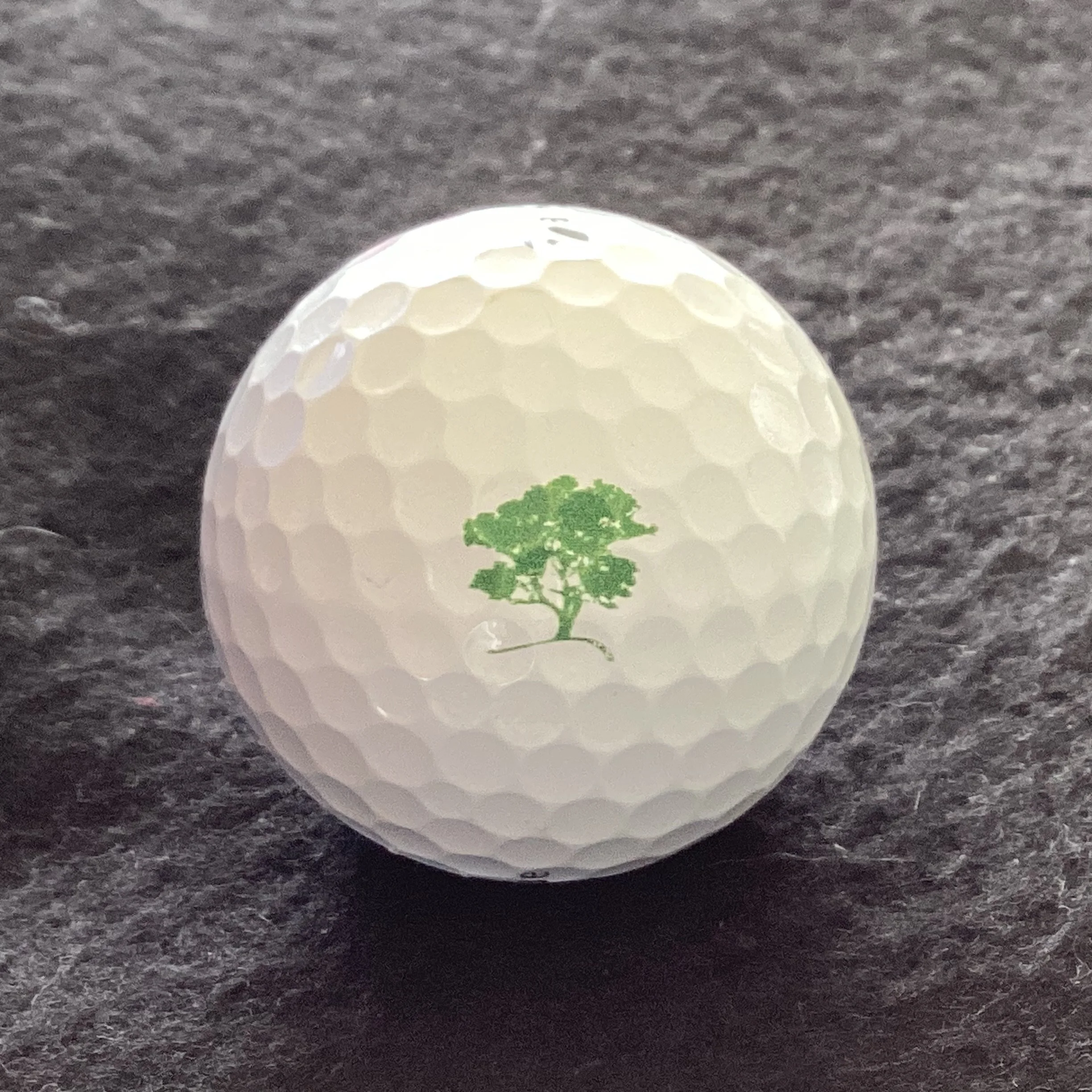 Cathedral Lodge Golf Club