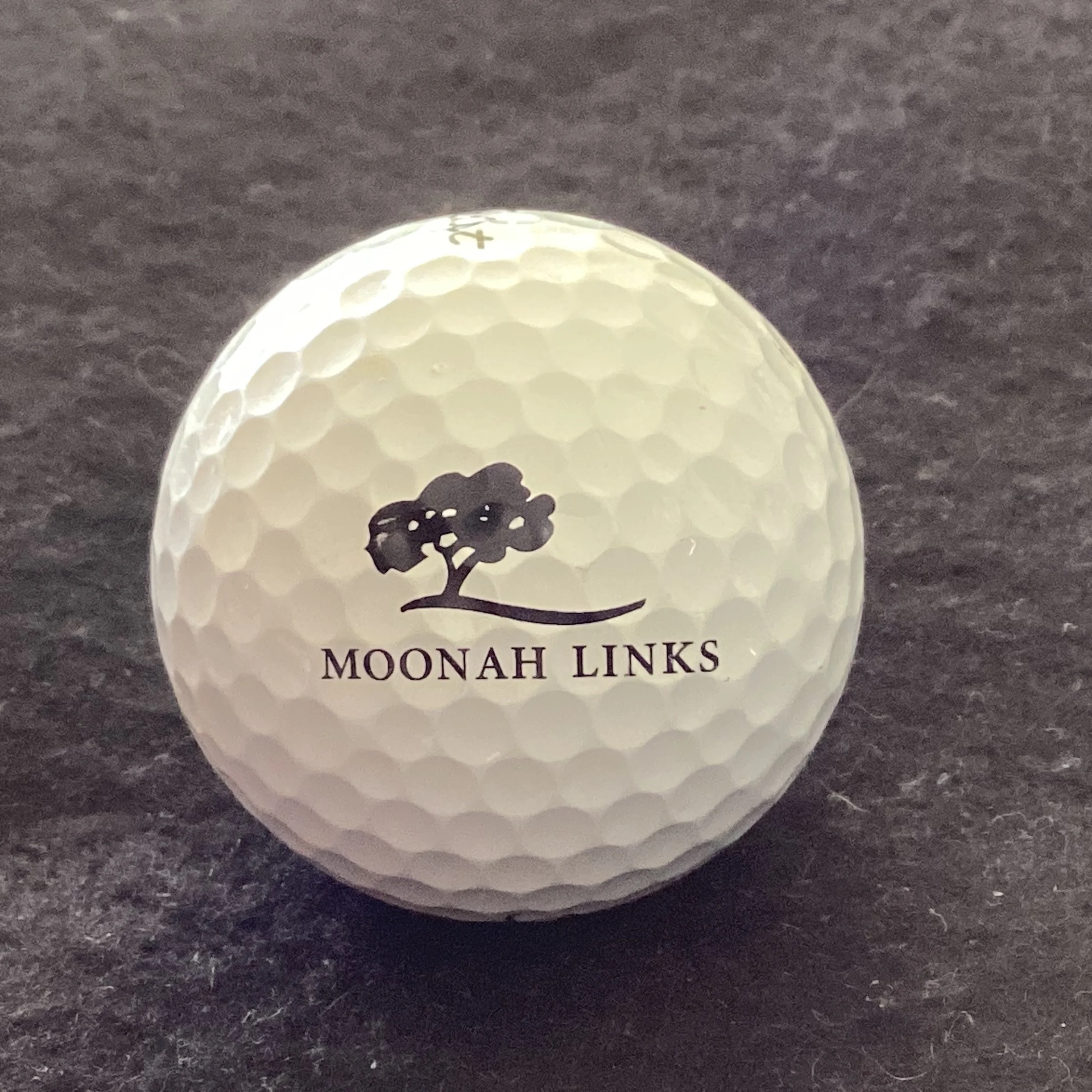 Moonah Links