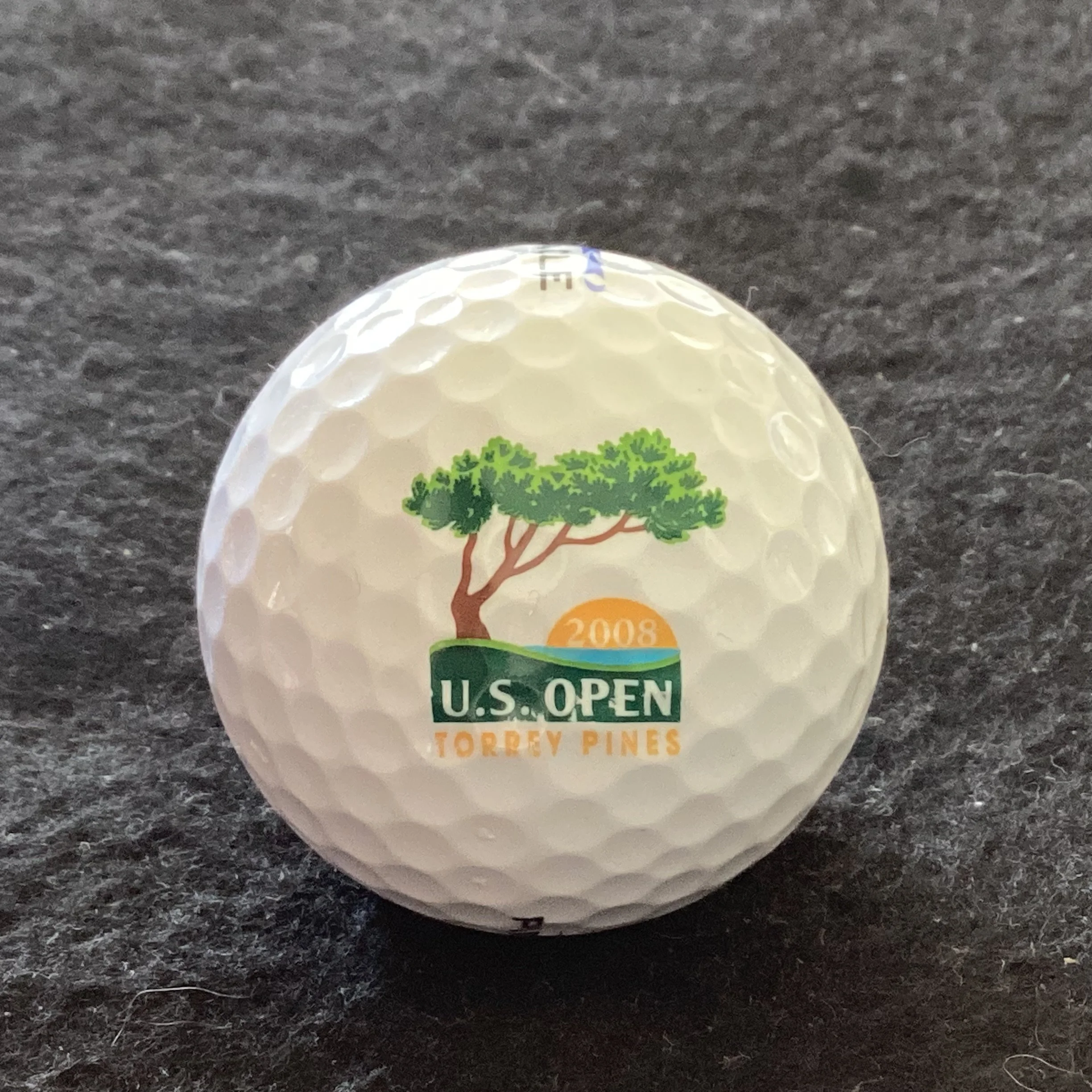 US Open 2008 Torrey Pines 