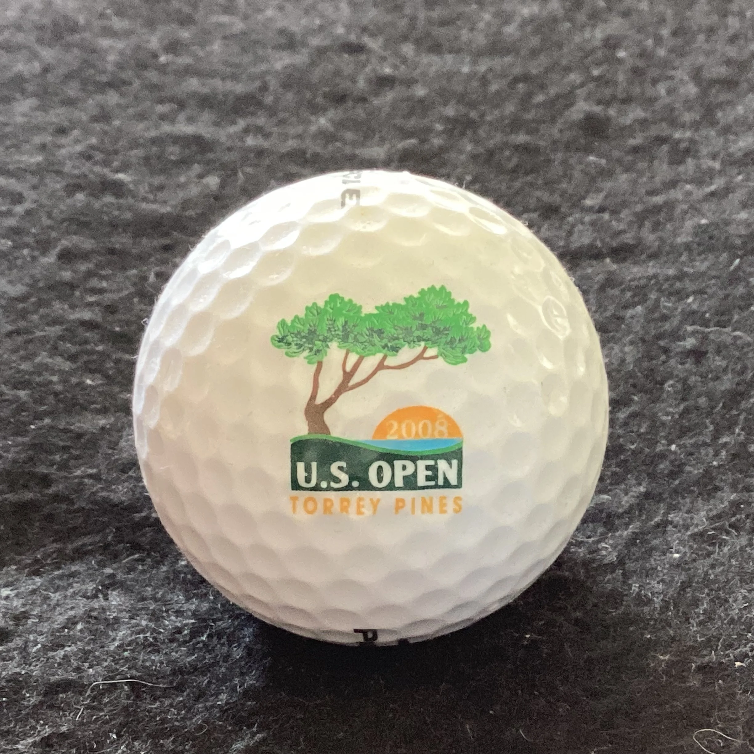 US Open 2008 Torrey Pines