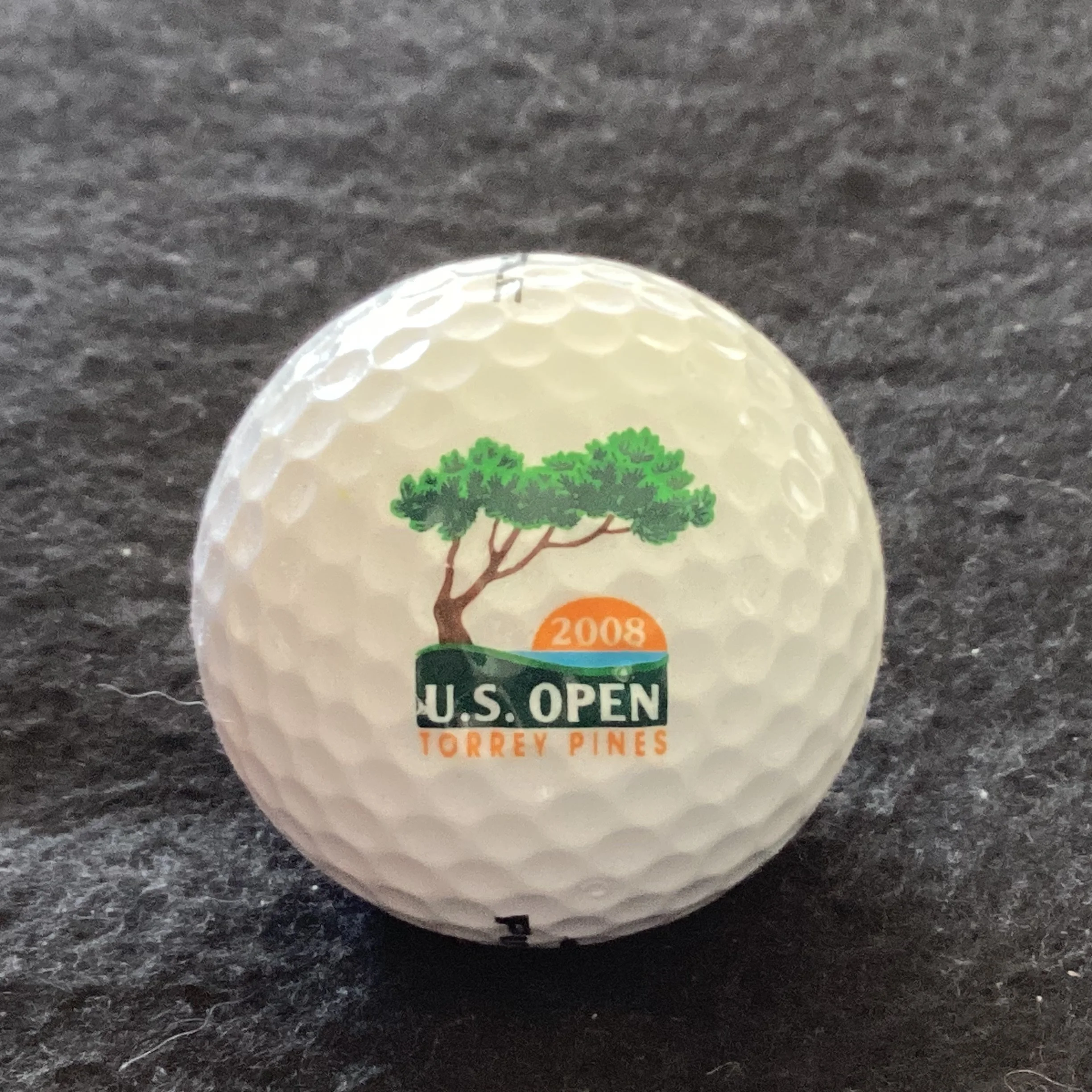 US Open 2008 Torrey Pines 