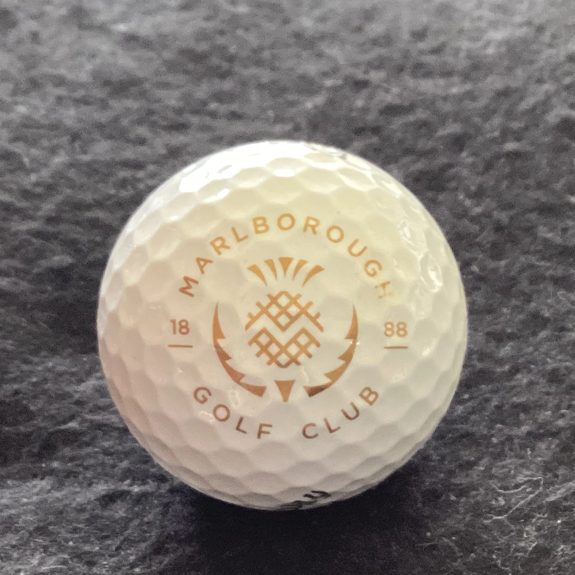 Marlborough Golf Club 