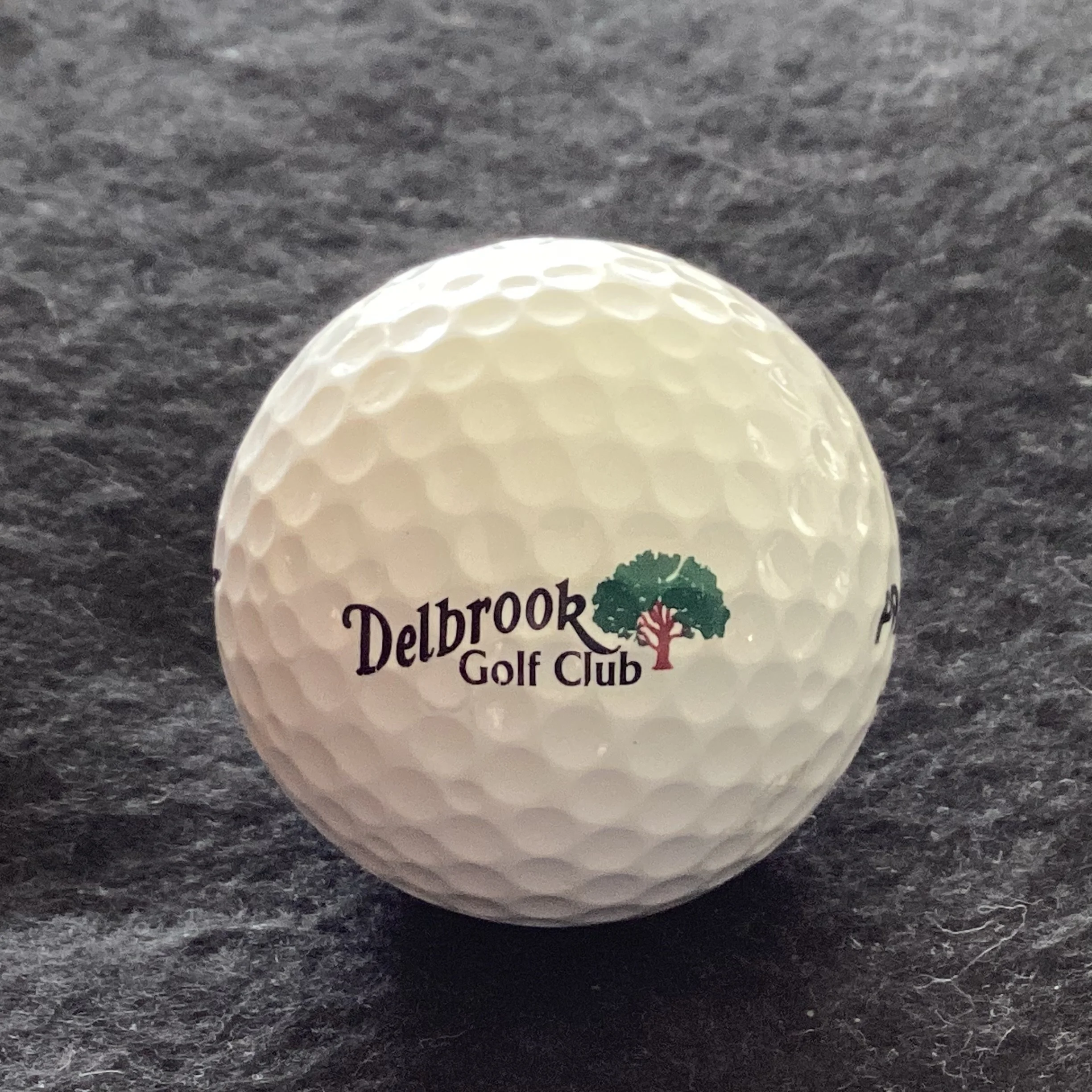 Delbrook Golf Club 