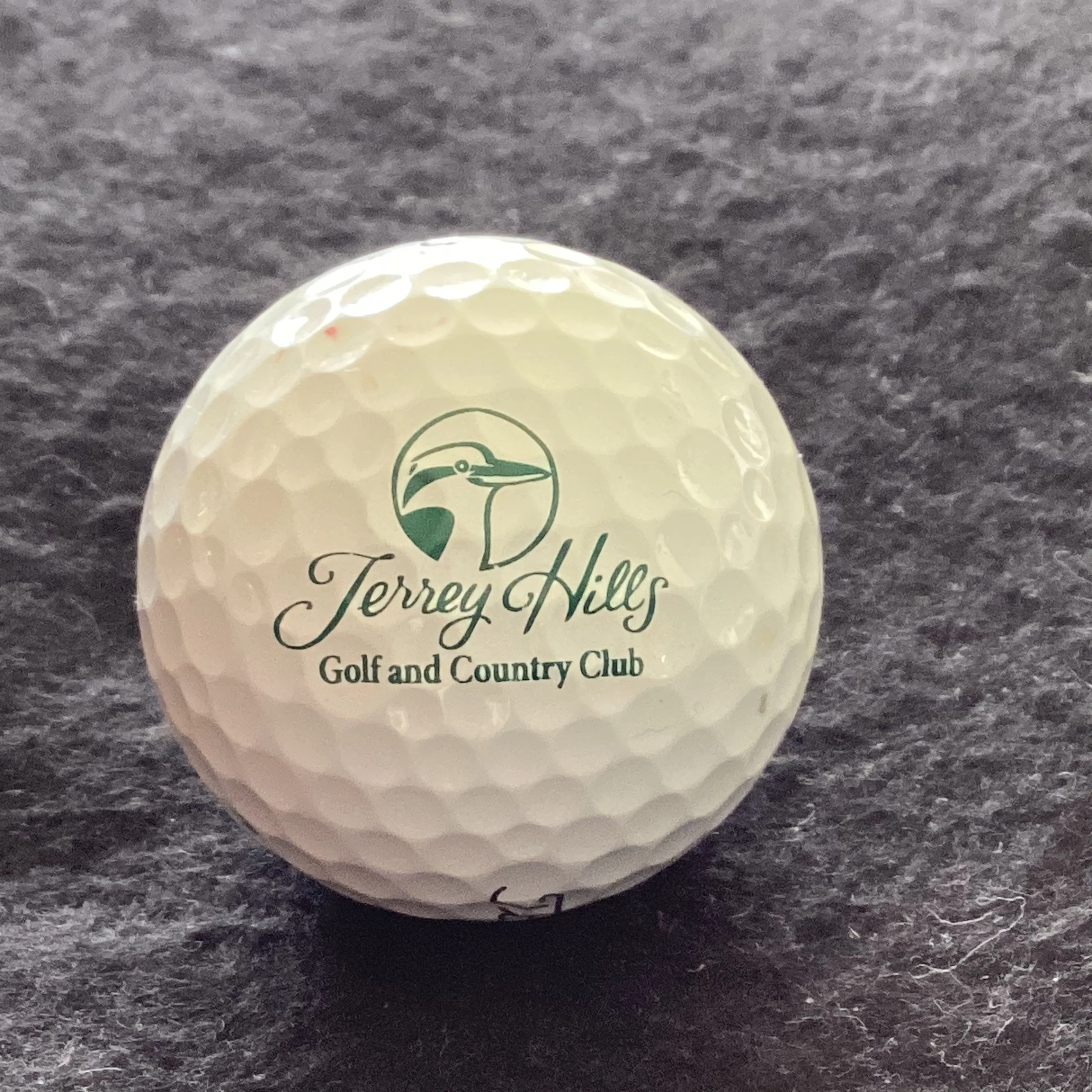 Terrey Hills Golf and Country Club 