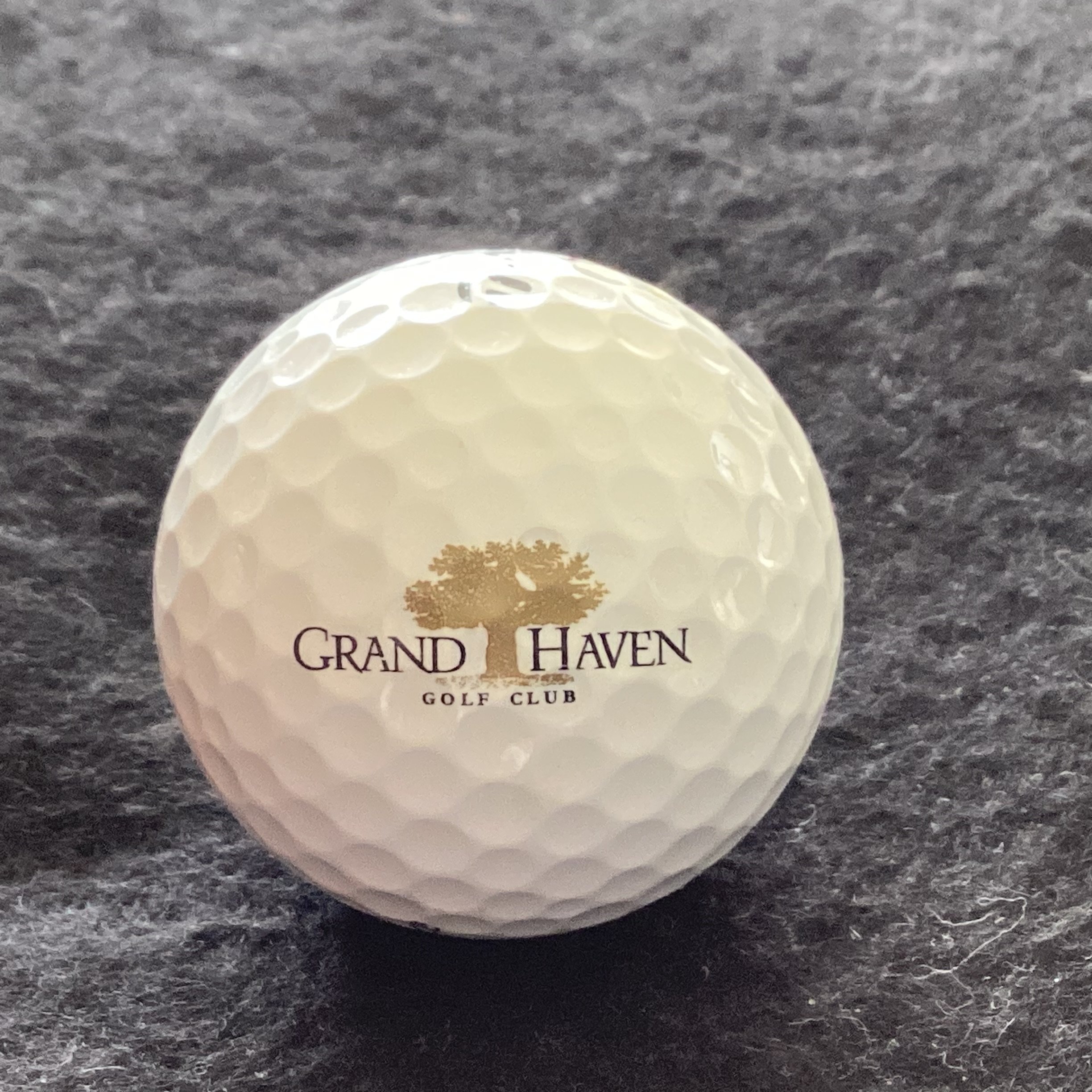 Grand Haven Golf Club 