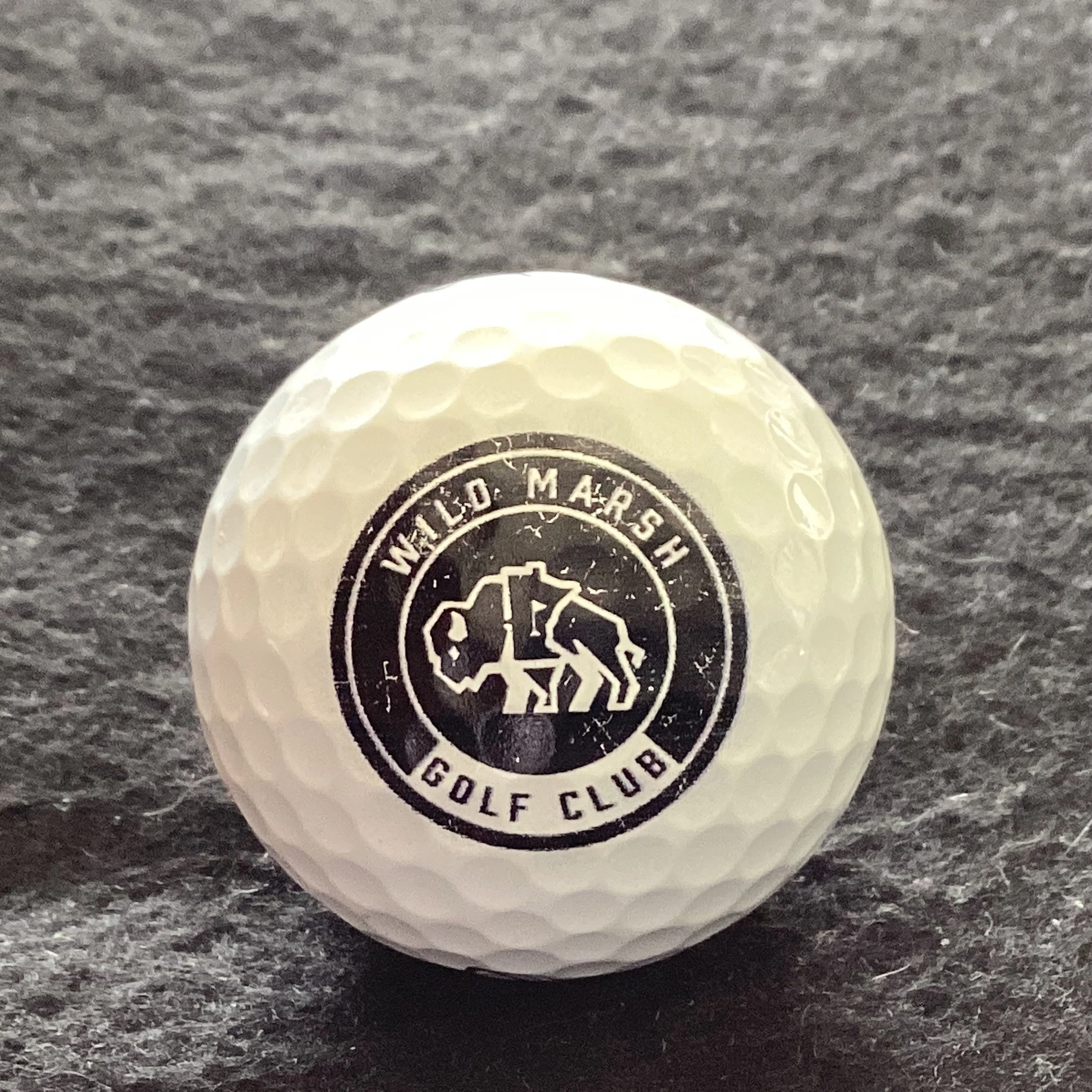 Wild Marsh Golf Club 