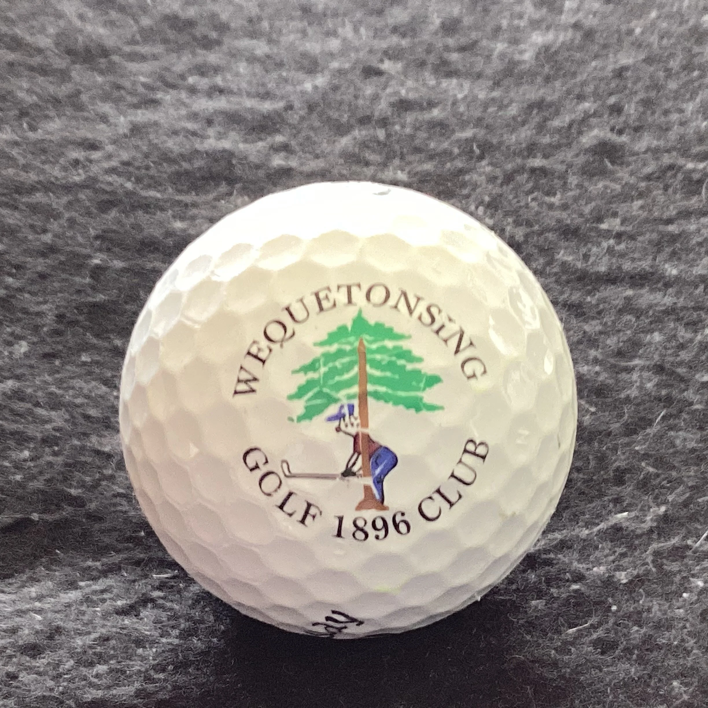 Wequetonsing Golf Club 