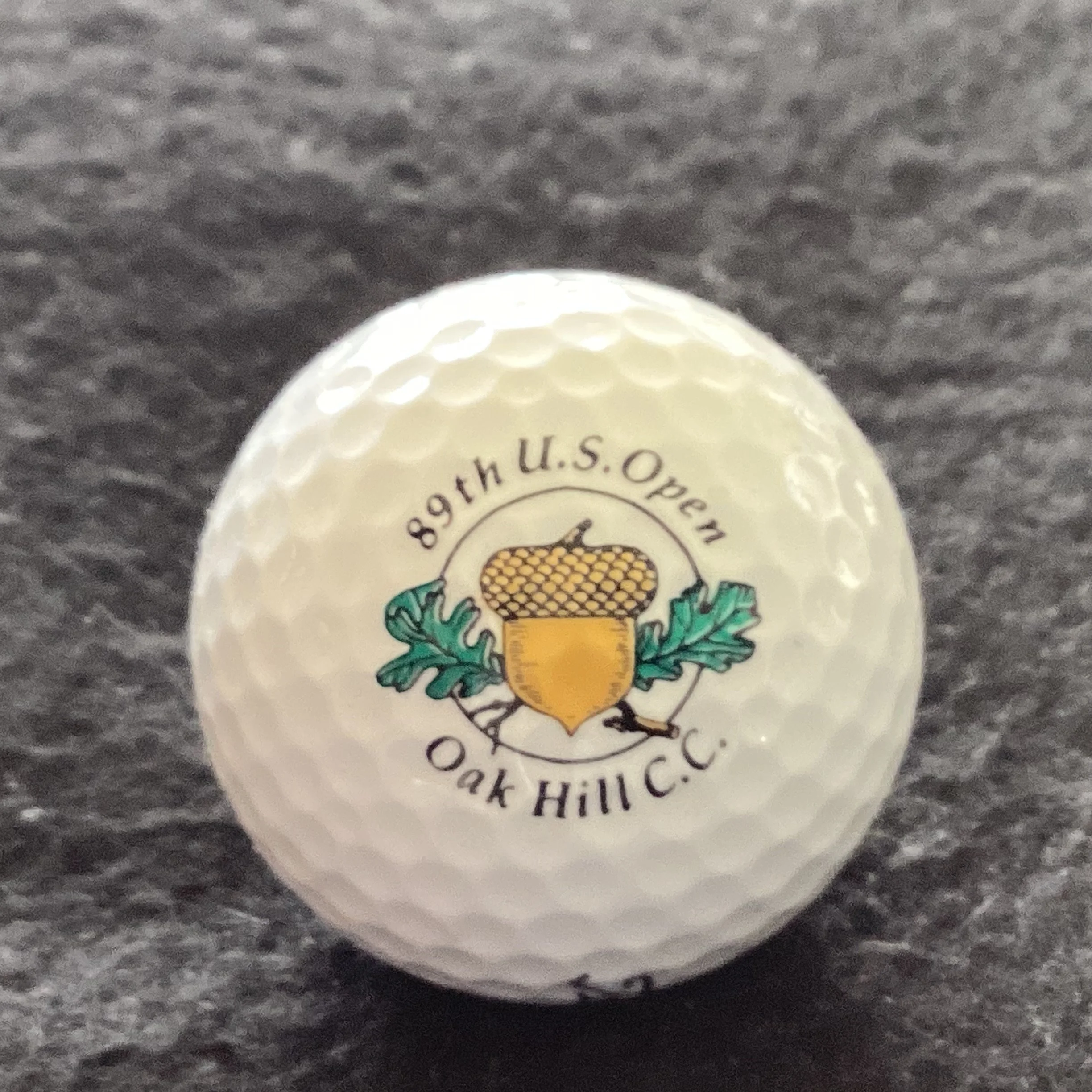 US Open 89th Oak Hill