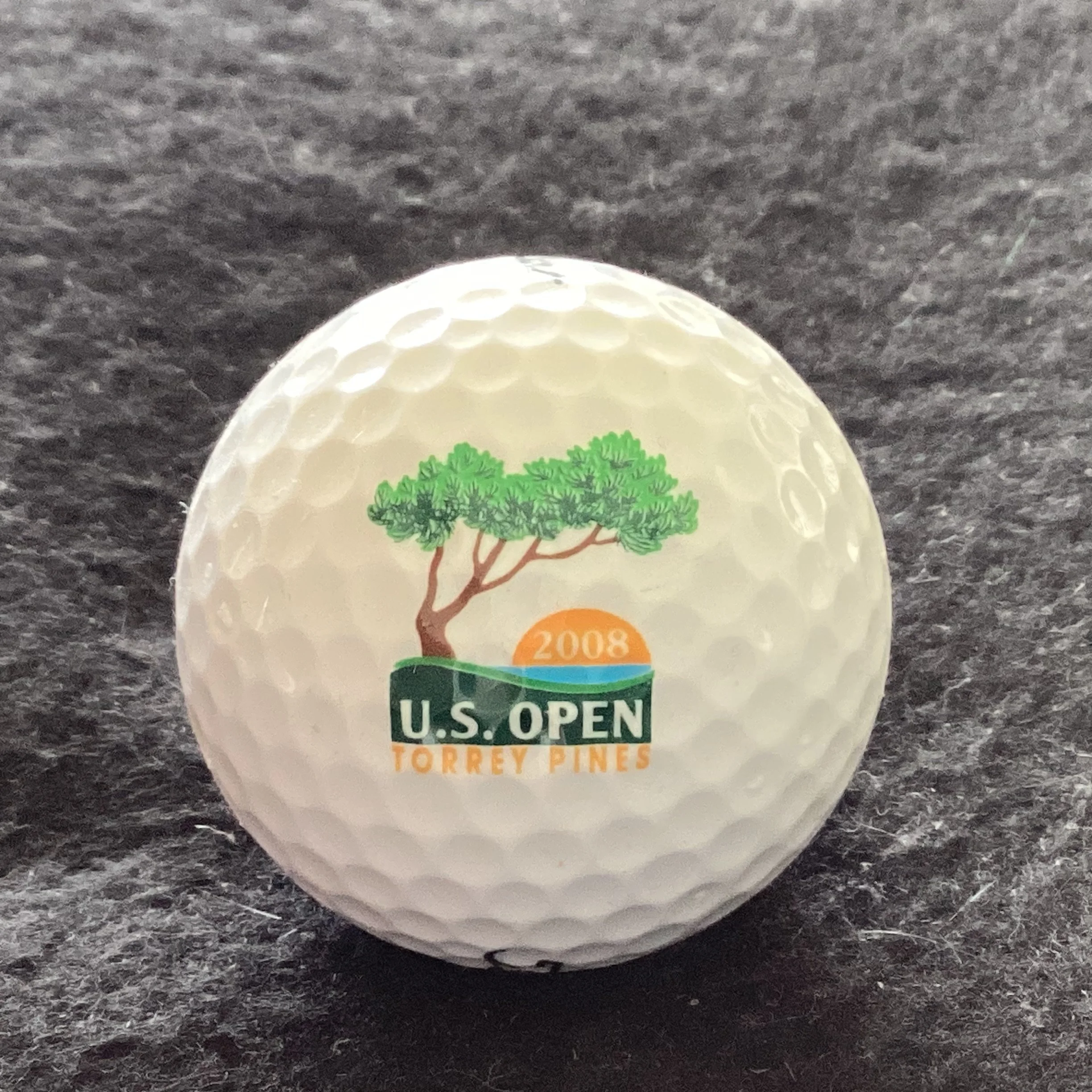 US Open 2008 Torrey Pines