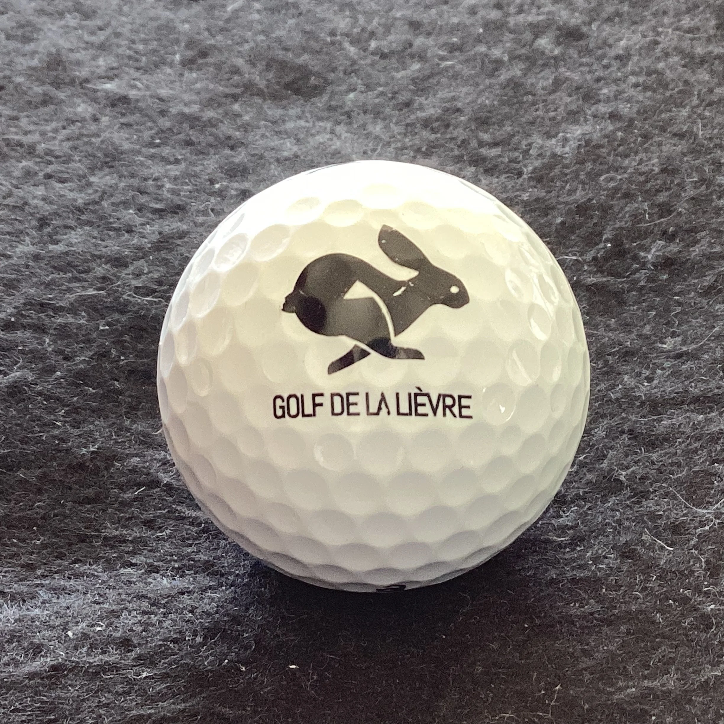 Lievre - Golf devLa Lievre