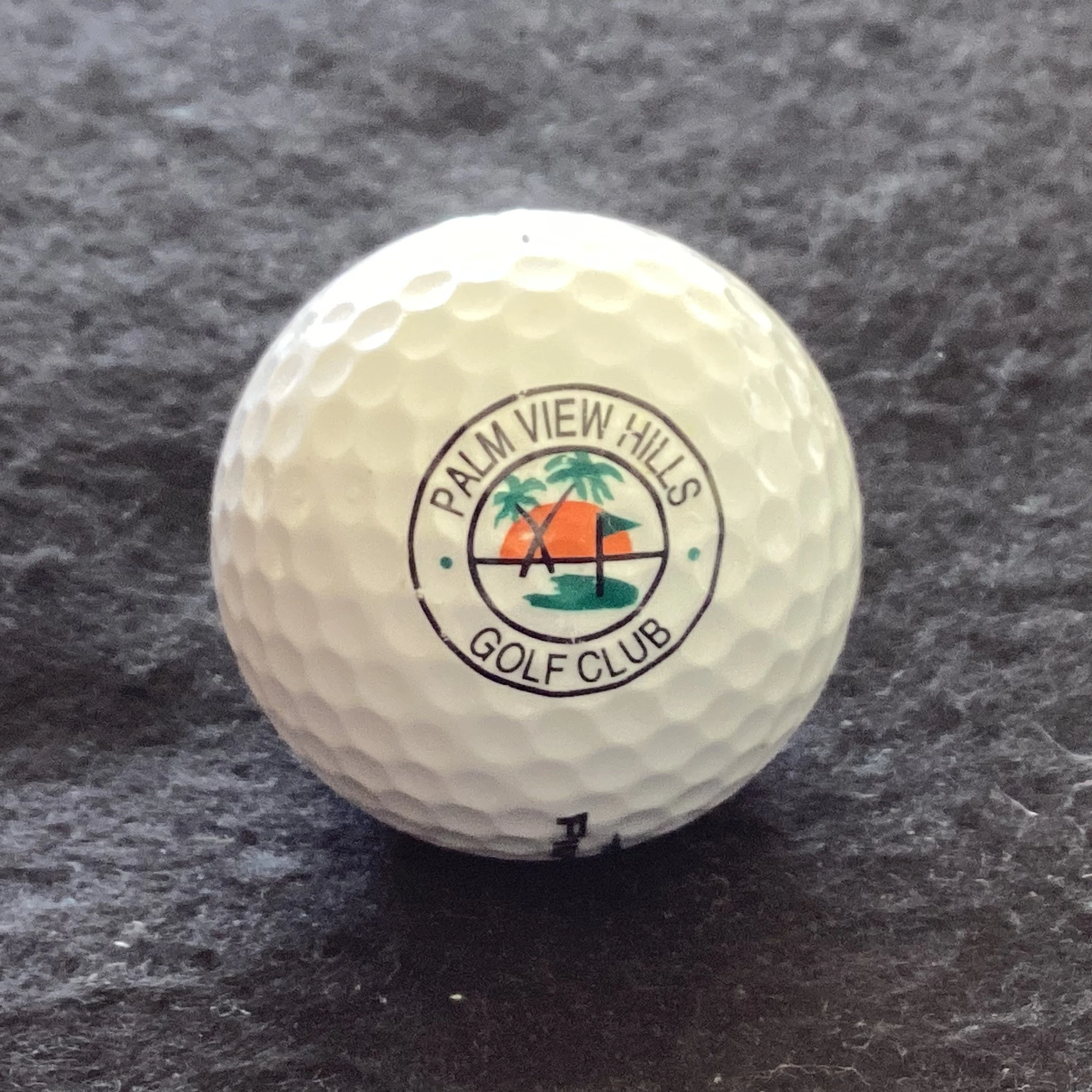 Palm View Hills Golf Club 