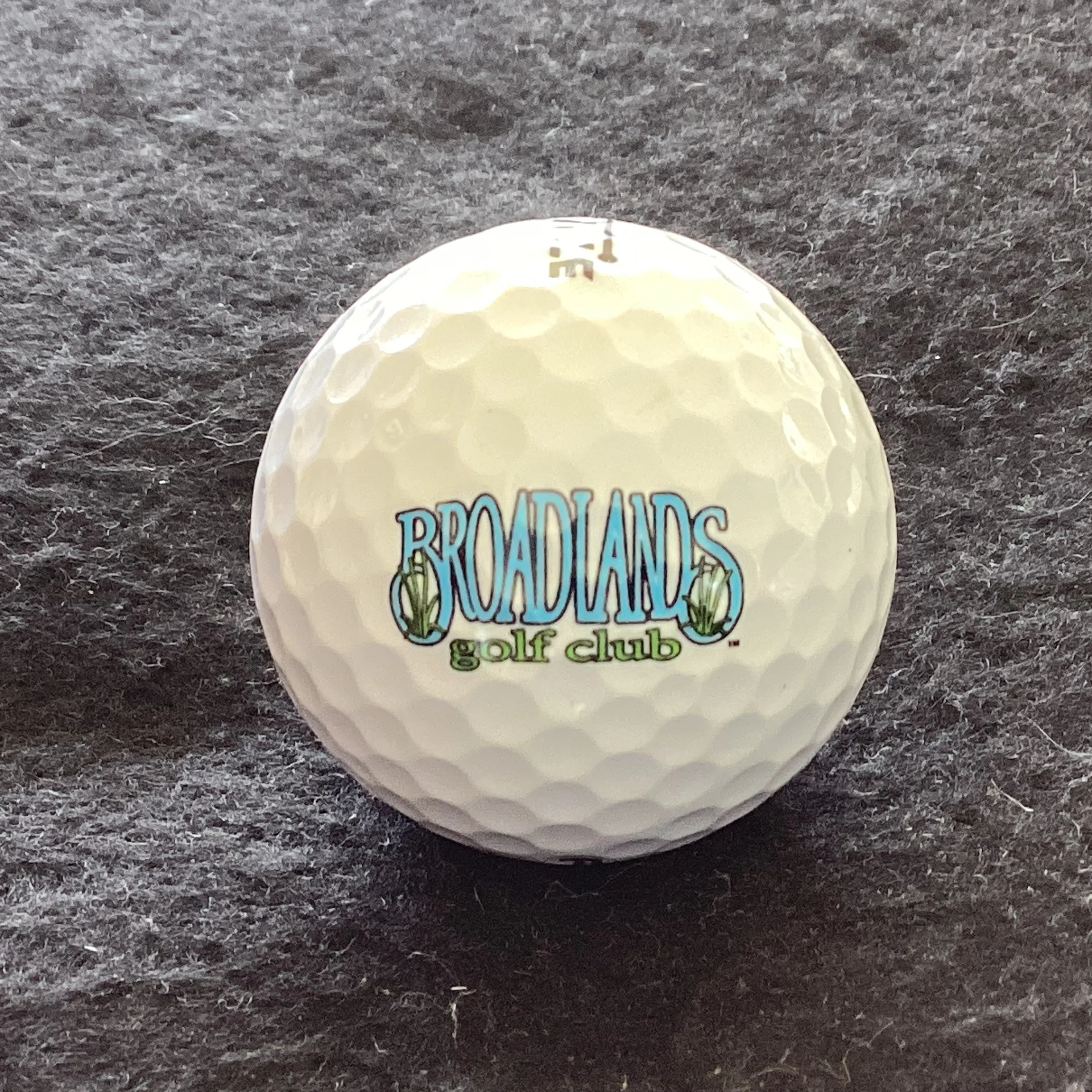 Broadlands Golf Club 