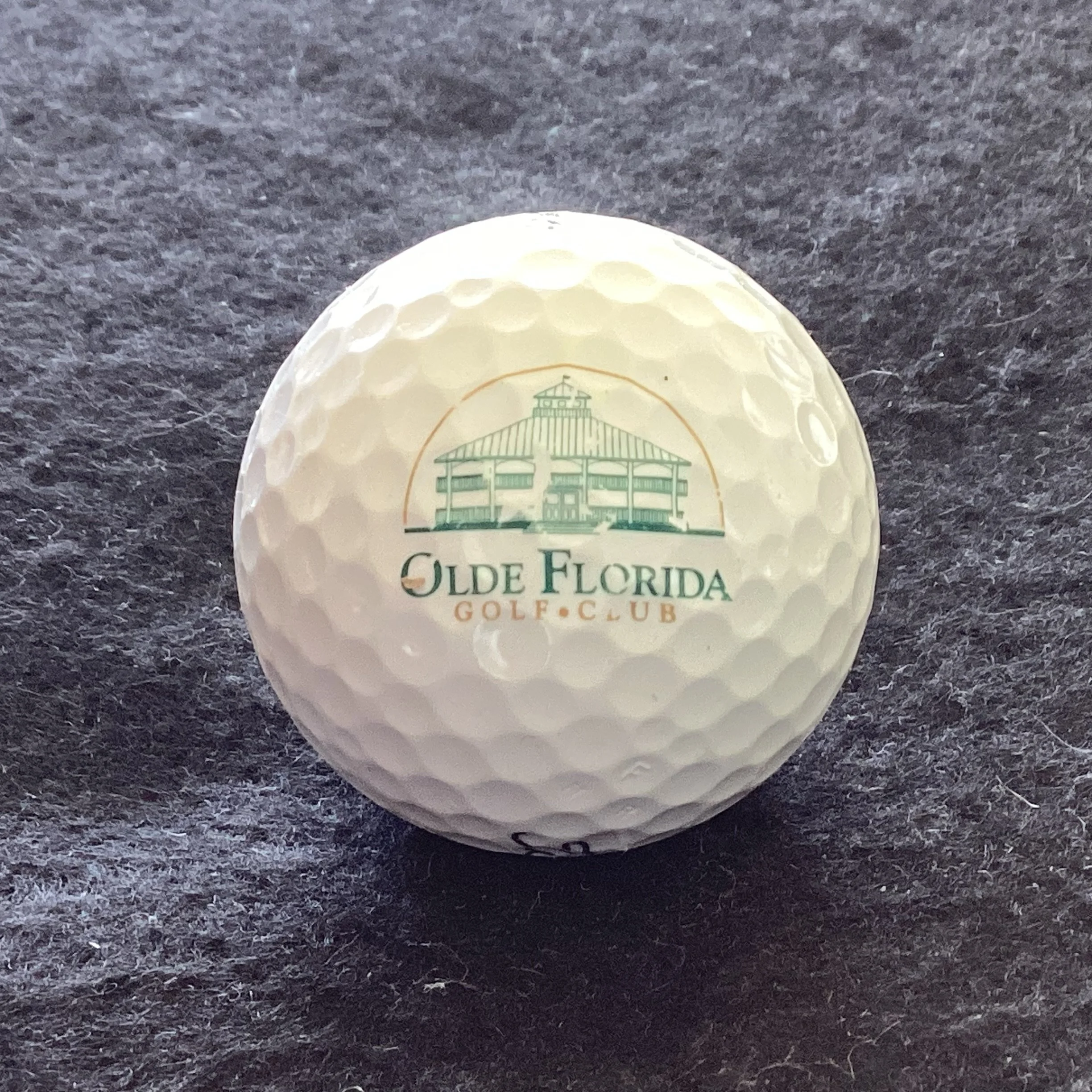 Olde Florida Golf Club 