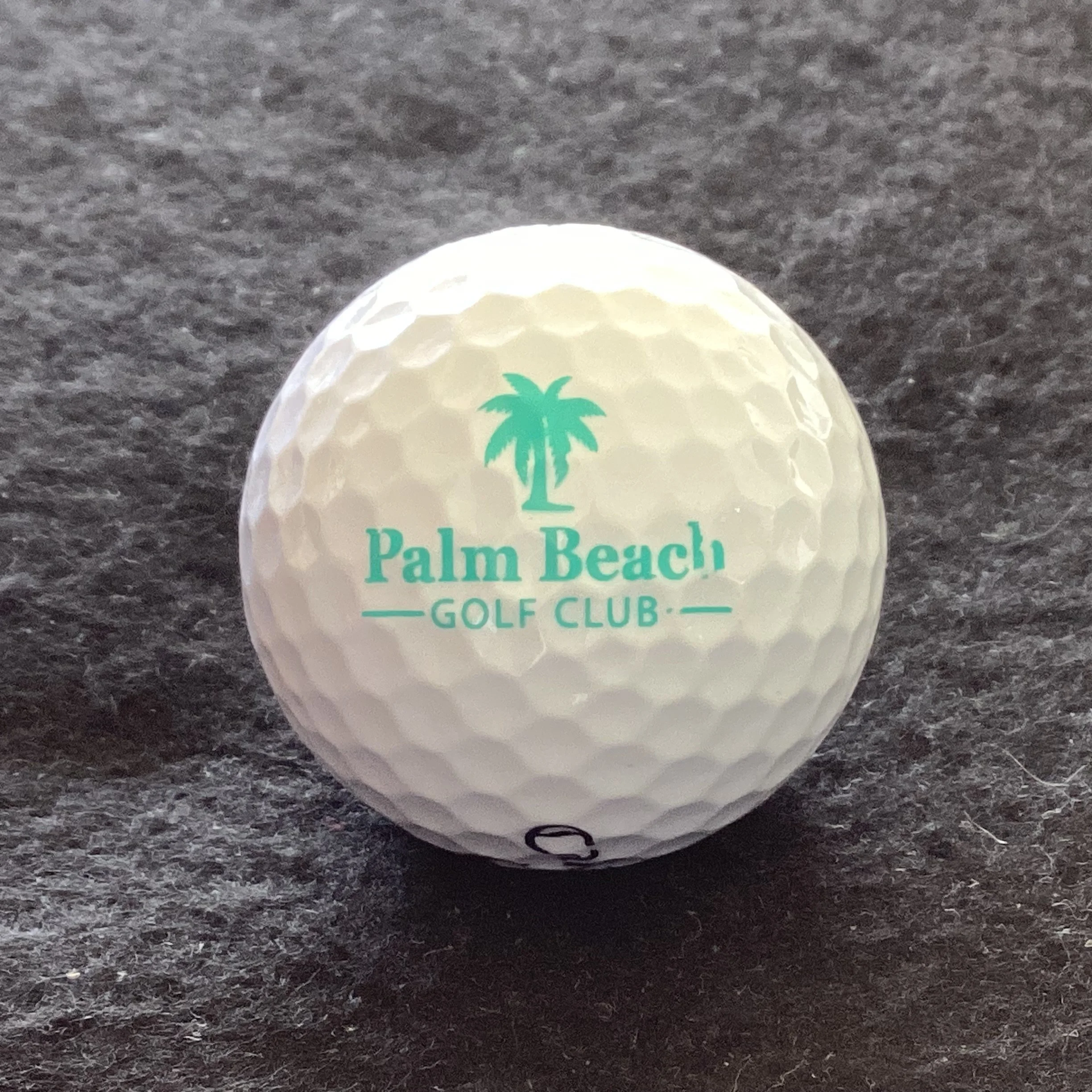 Palm Beach Golf Club 