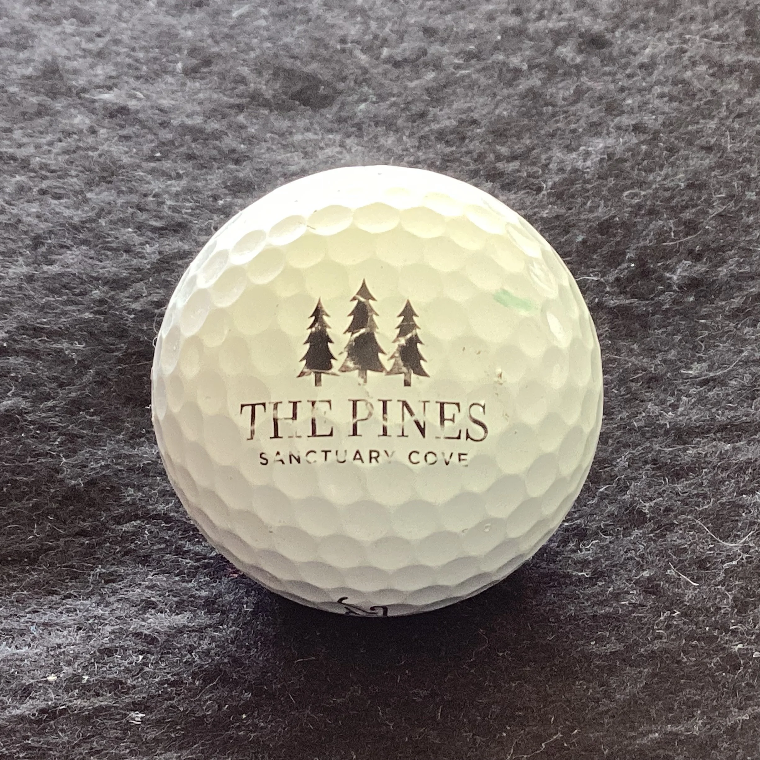 Pines - The Pines Course Sanctuary Cove Golf Club 