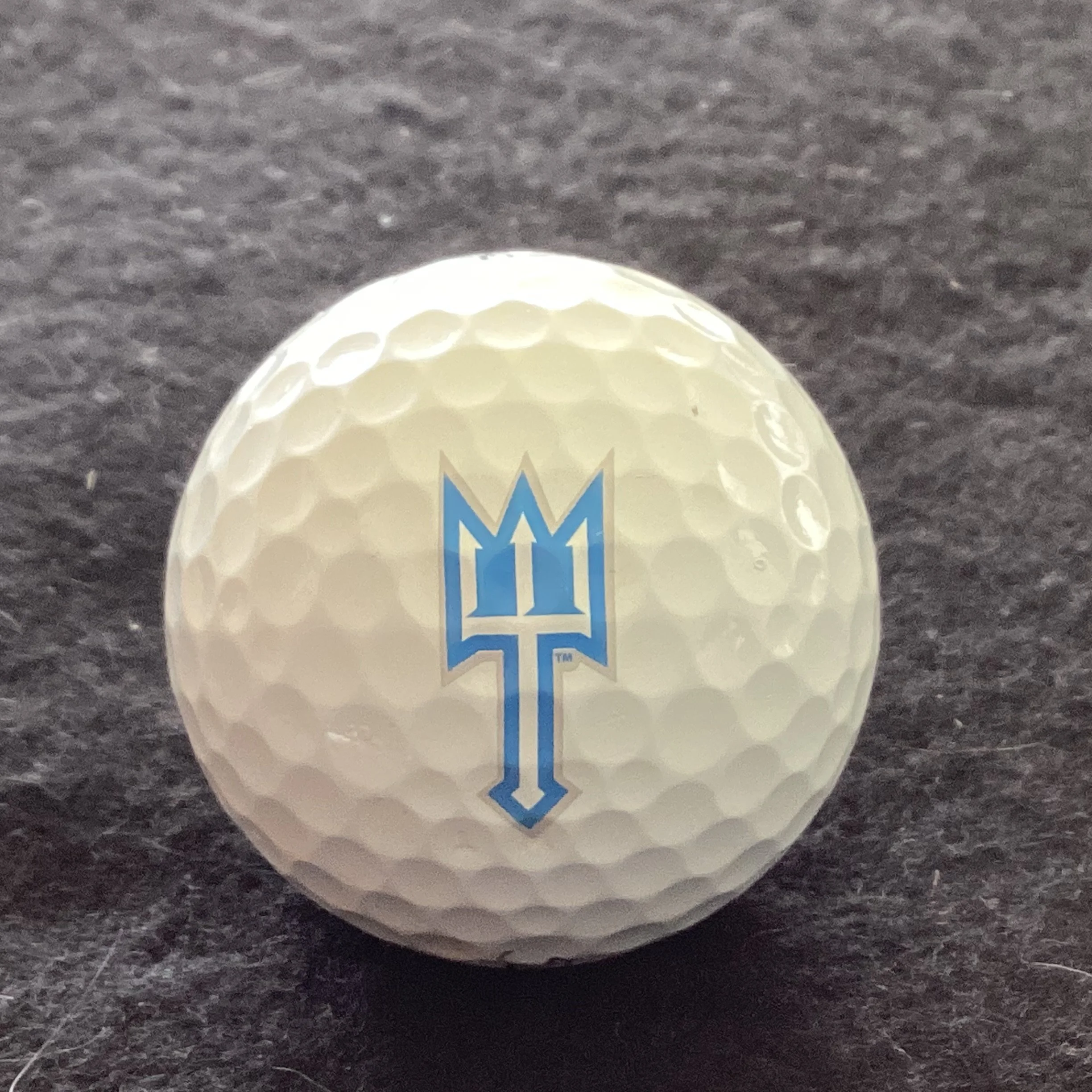 Lawrence Technological University Blue Devils Sports Section