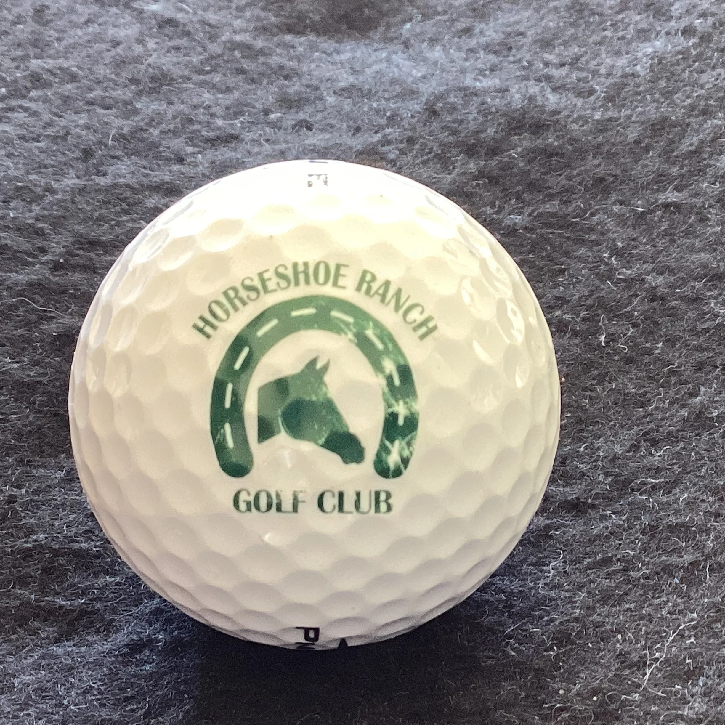 Horseshoe Ranch Golf Club 