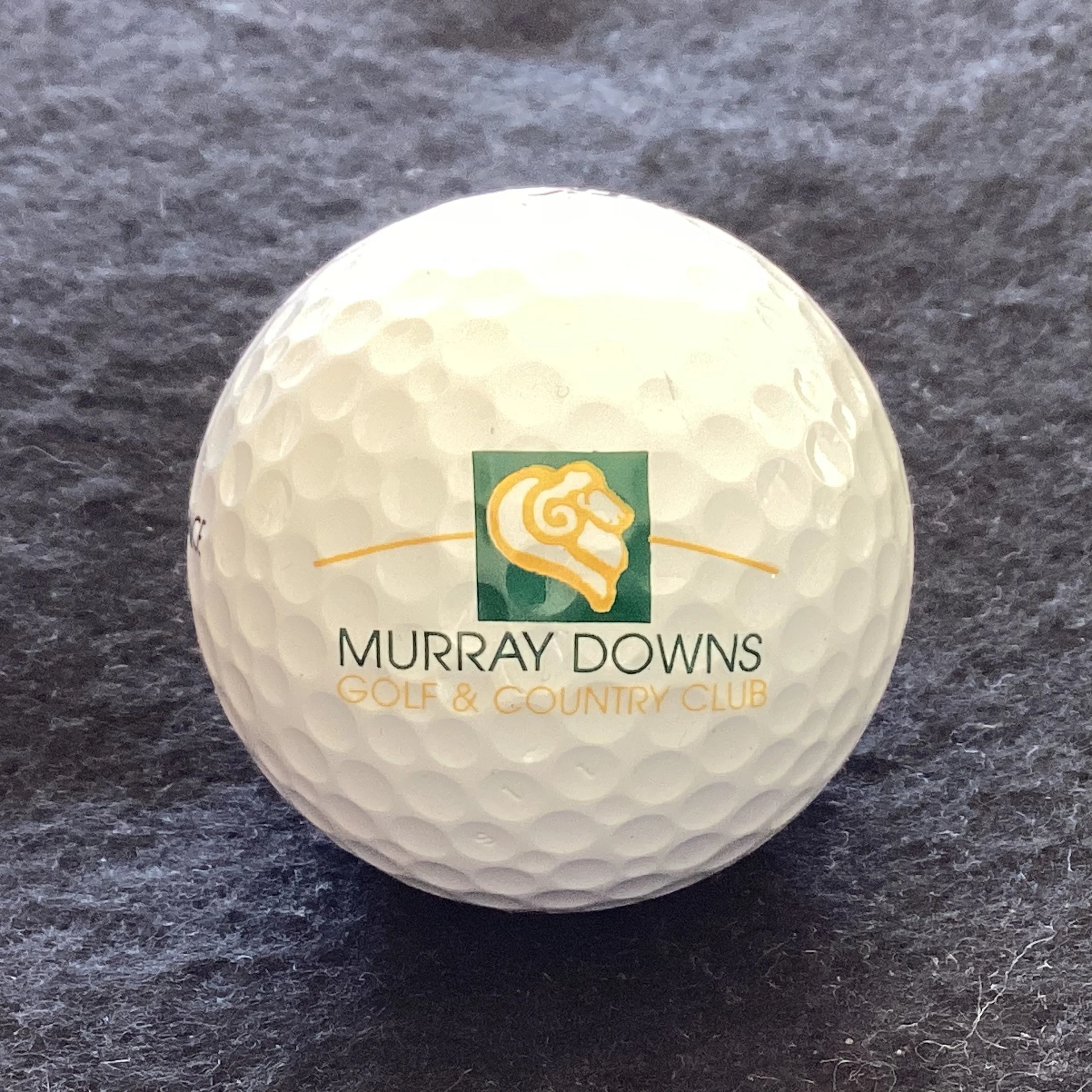Murray Downs Golf and Country Club 