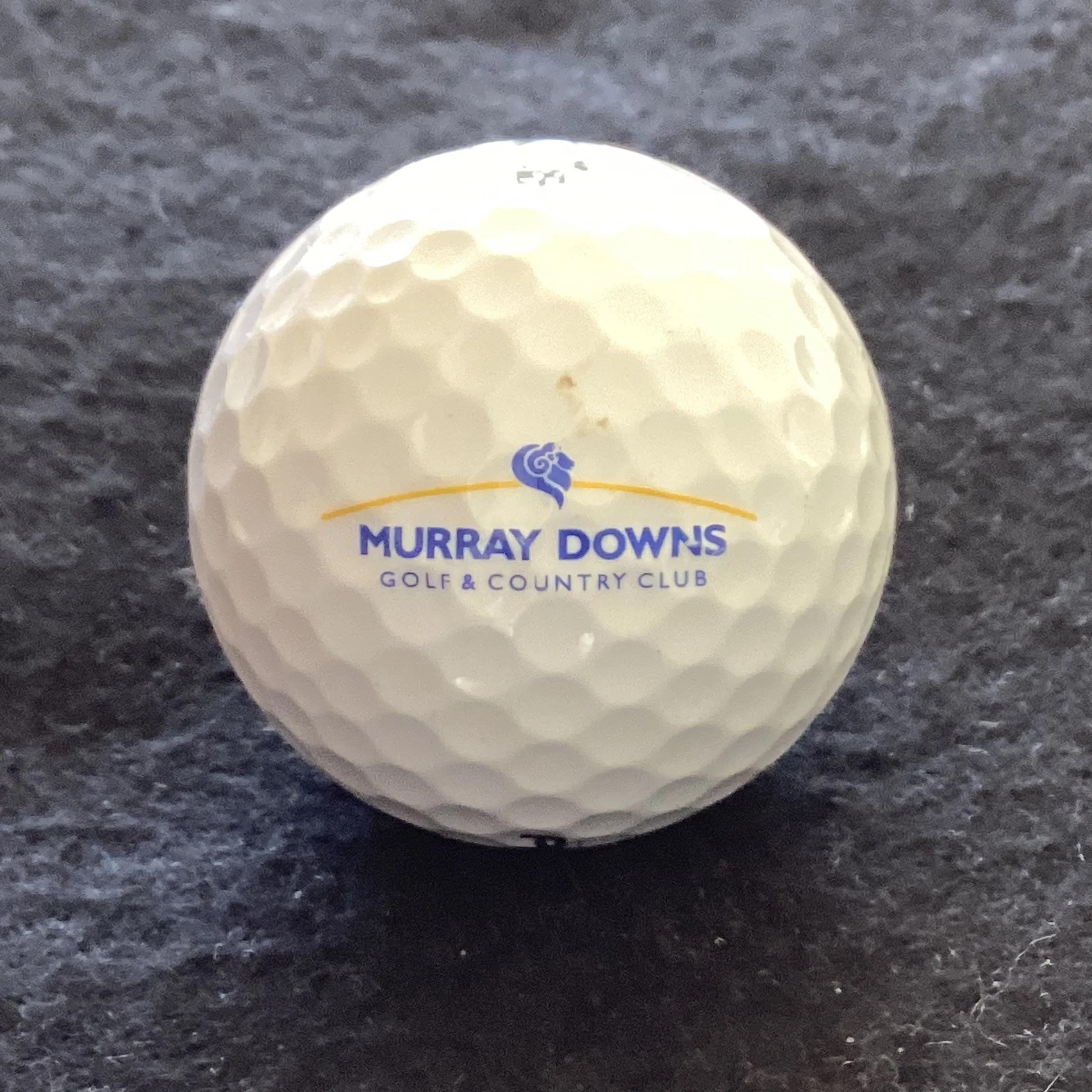 Murray Downs Golf and Country Club 