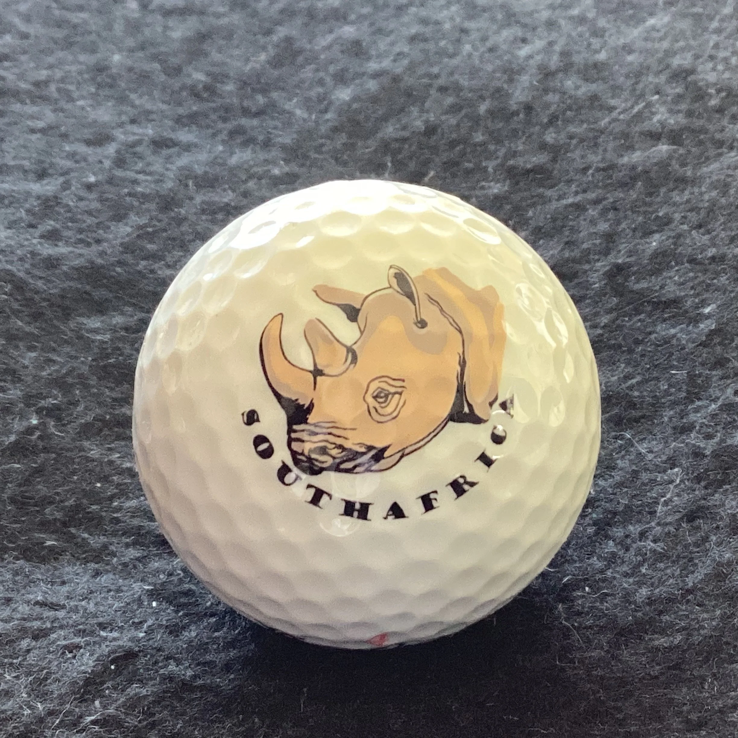 Animals - Rhino - Big Five