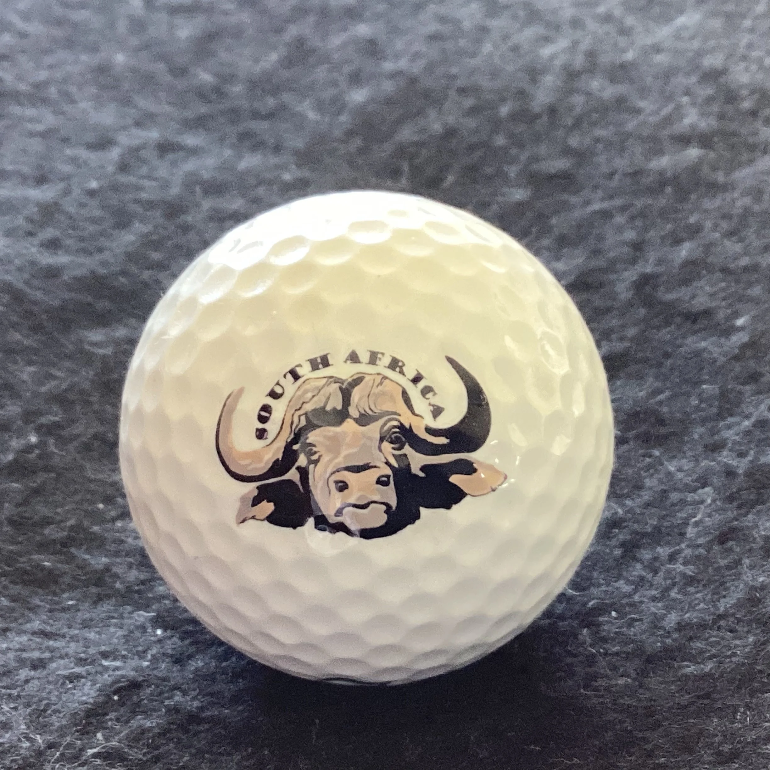 Animals - Buffalo - Big Five