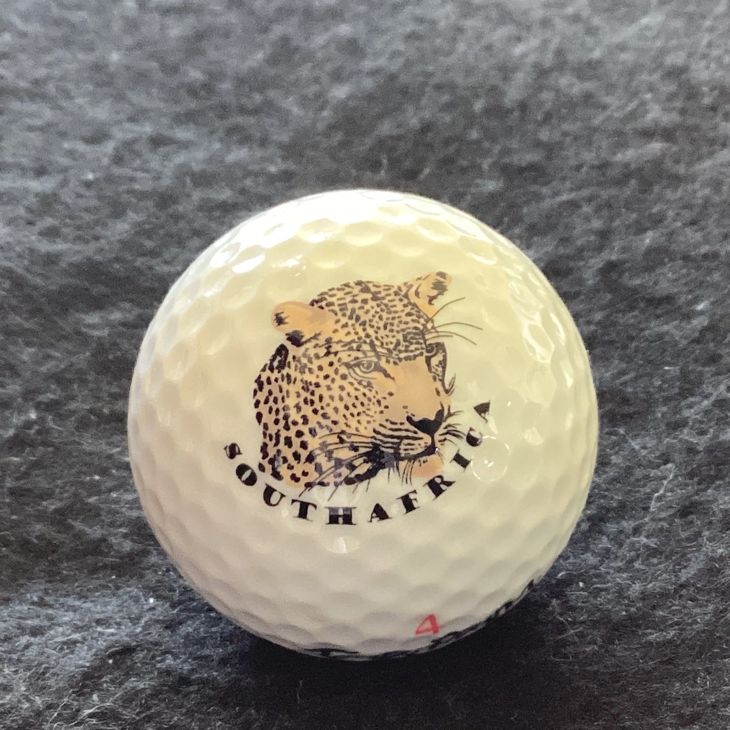 Animals - Leopard - Big Five