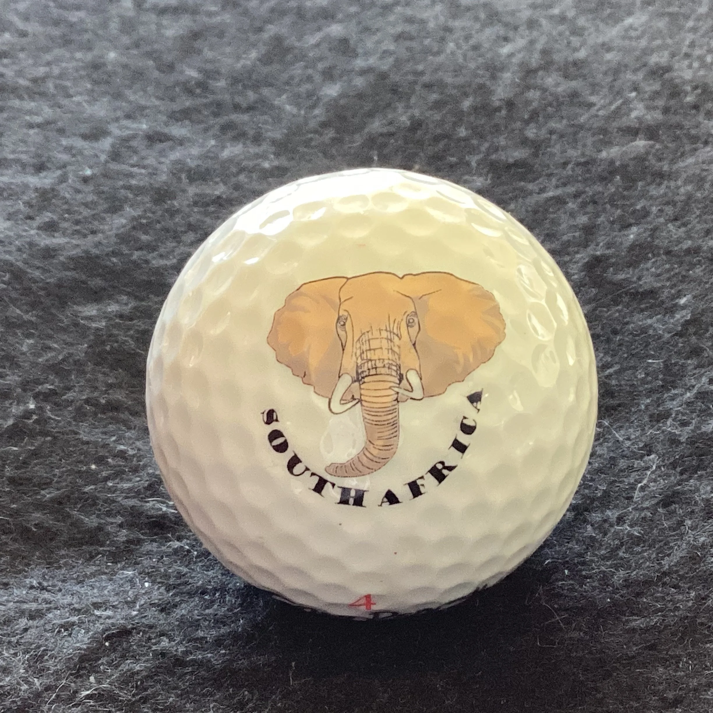 Animals - Elephant- Big Five