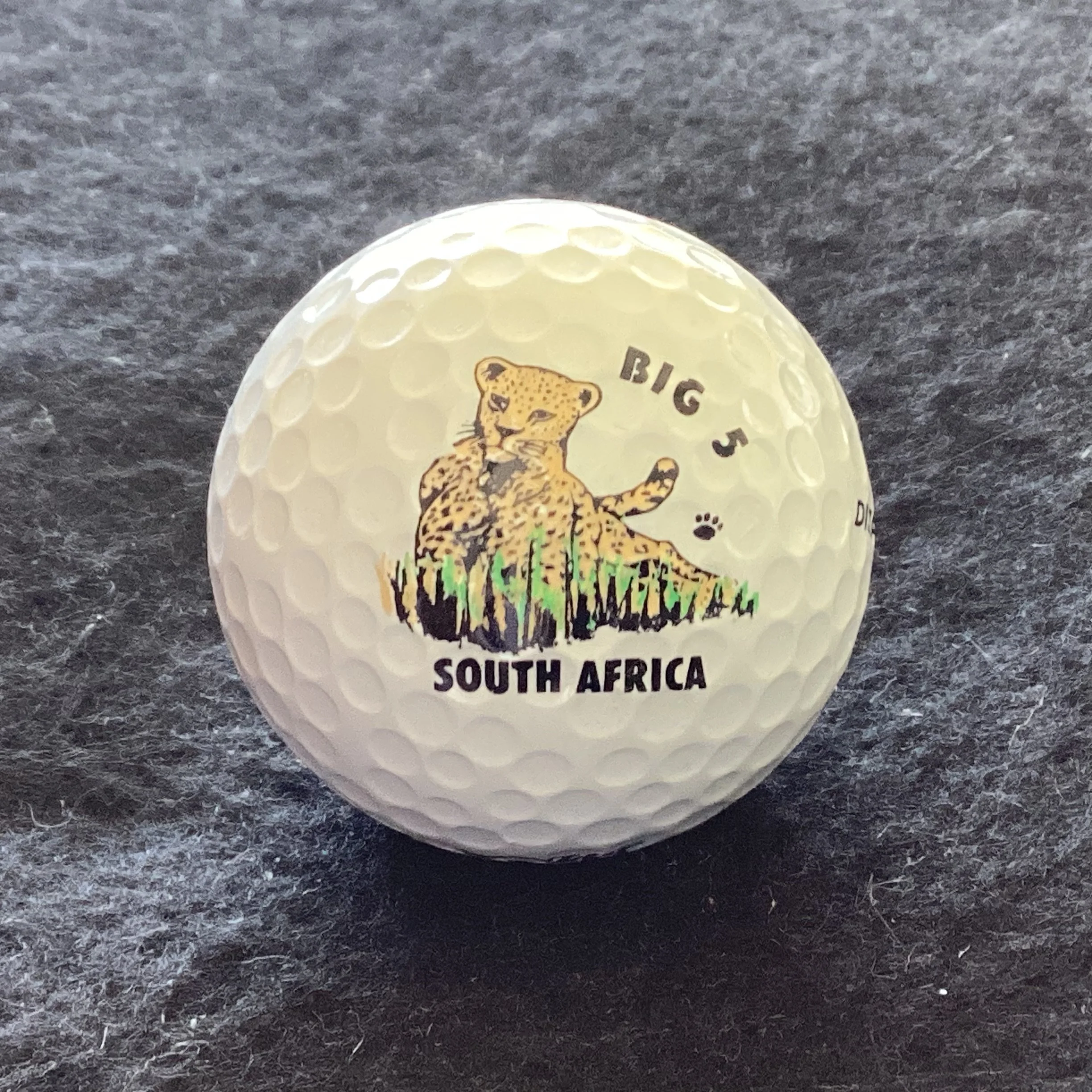 Animals - Leopard - Big 5