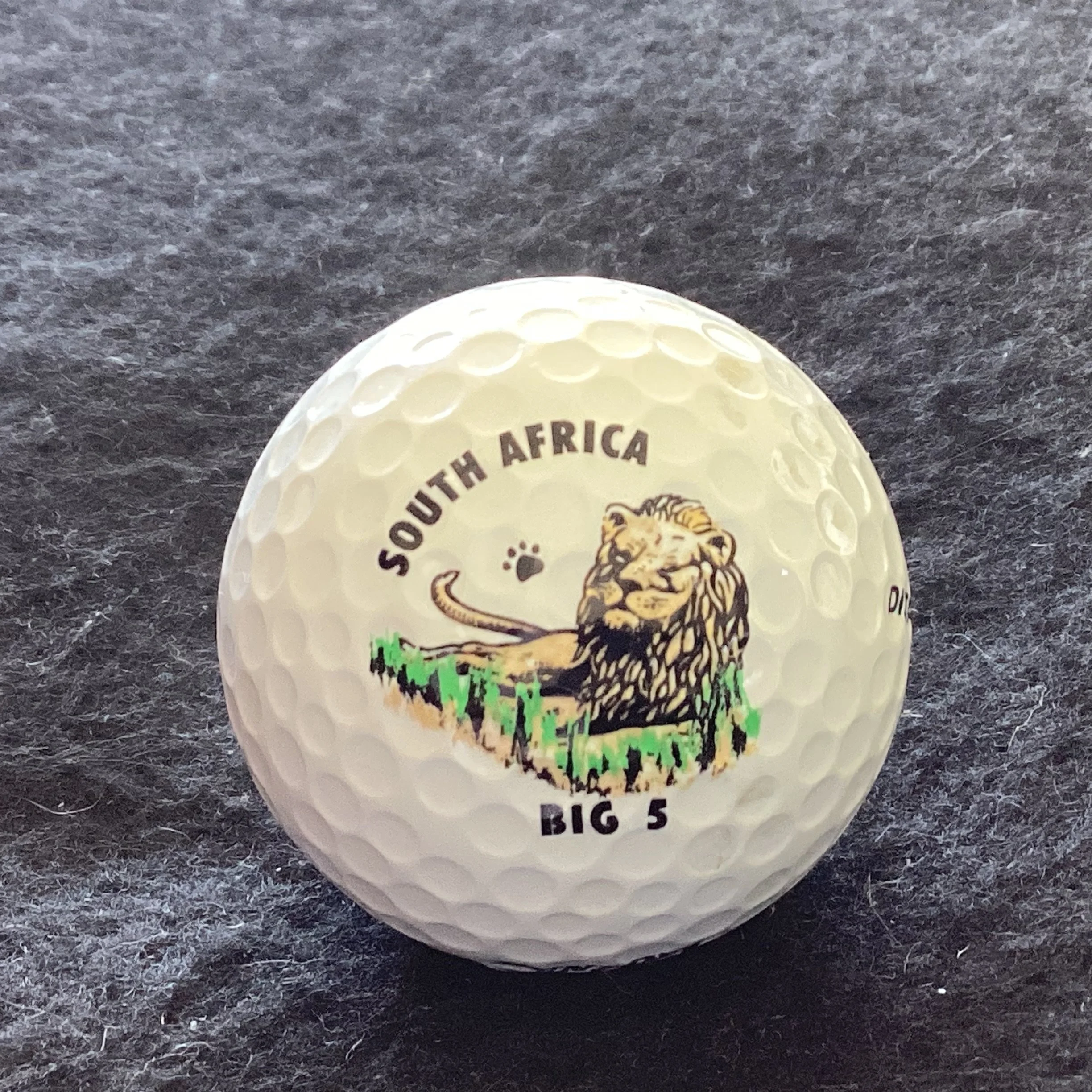 Animals - Lion - Big 5