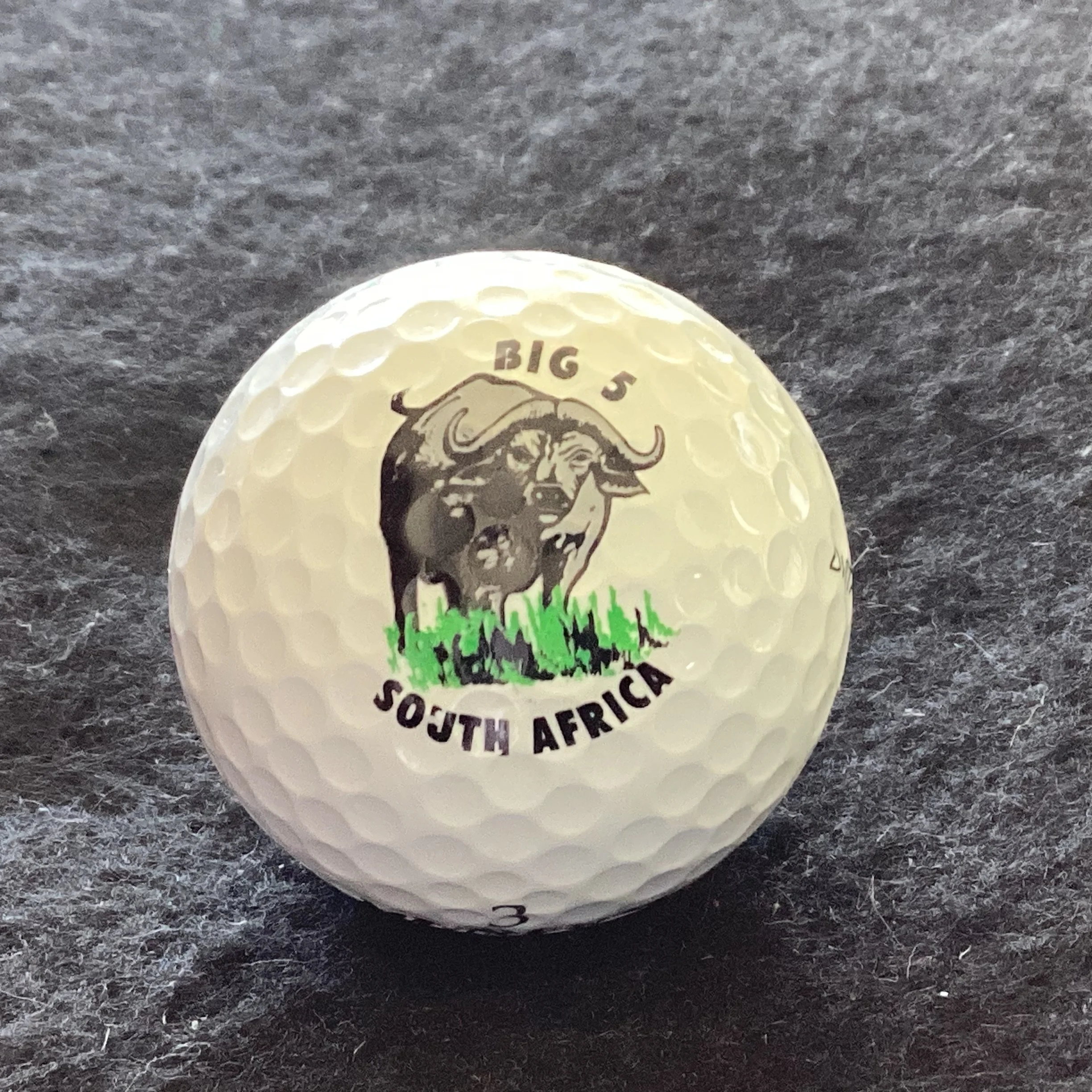 Animals - Buffalo - Big 5