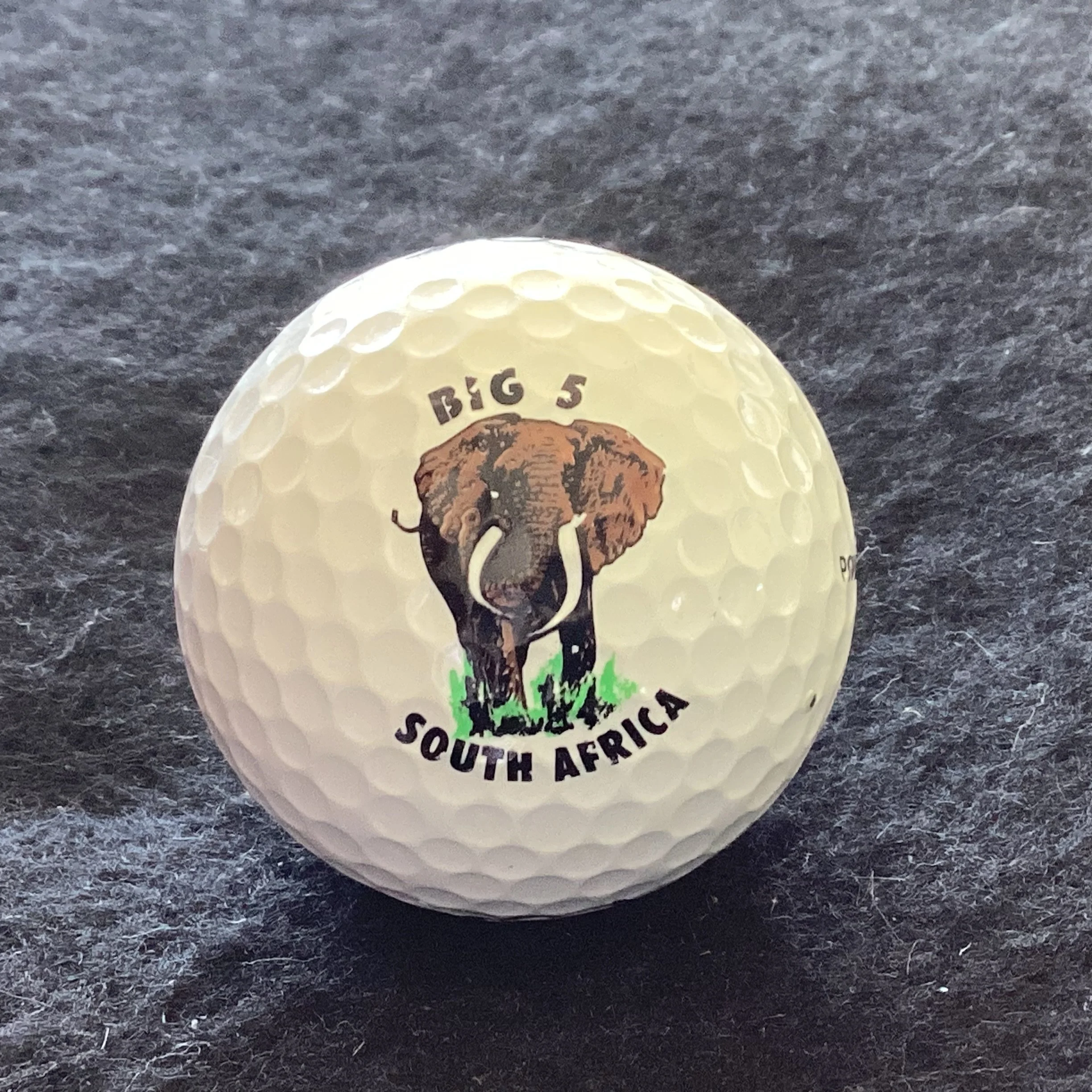 Animals - Elephant- Big 5