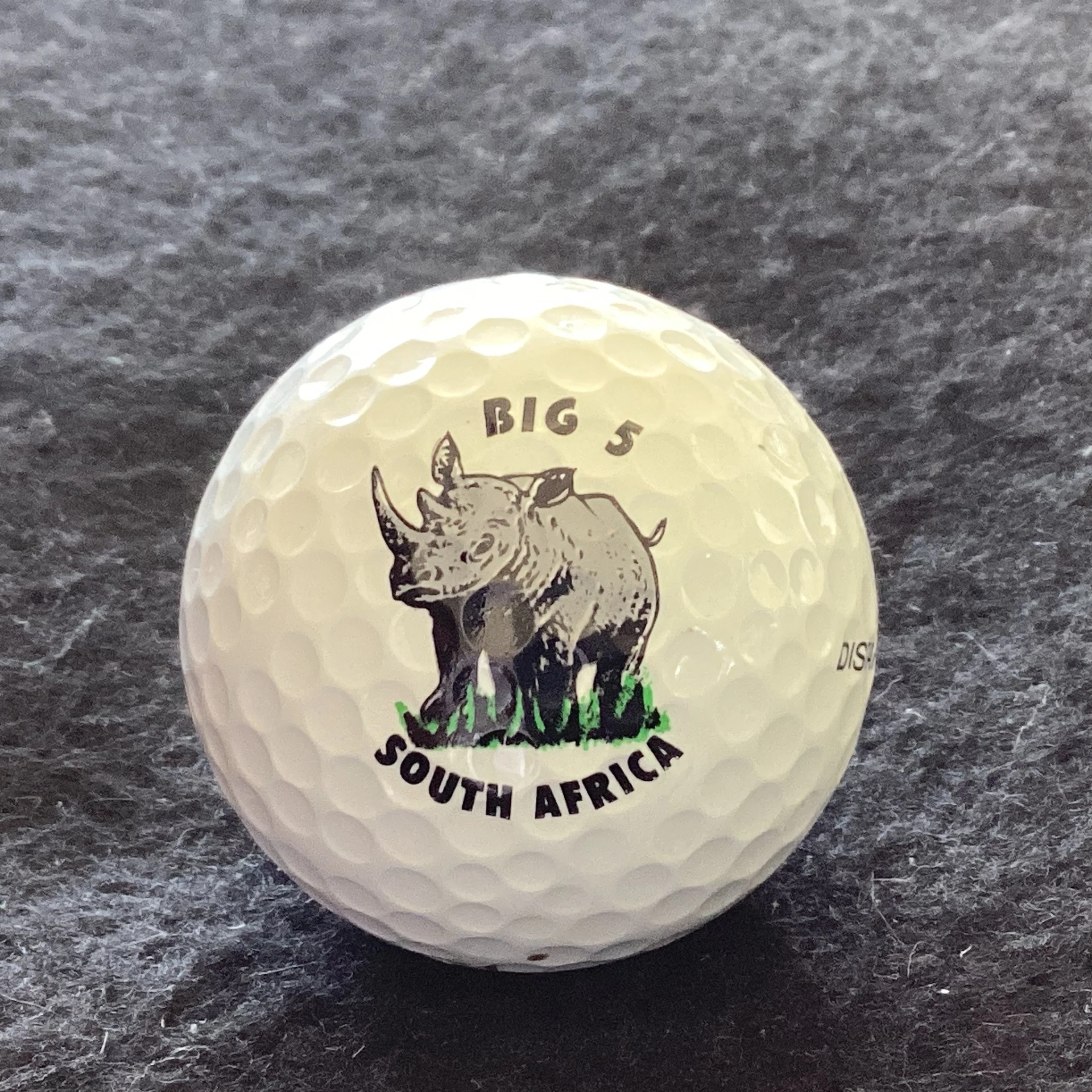 Animals - Rhino- Big 5