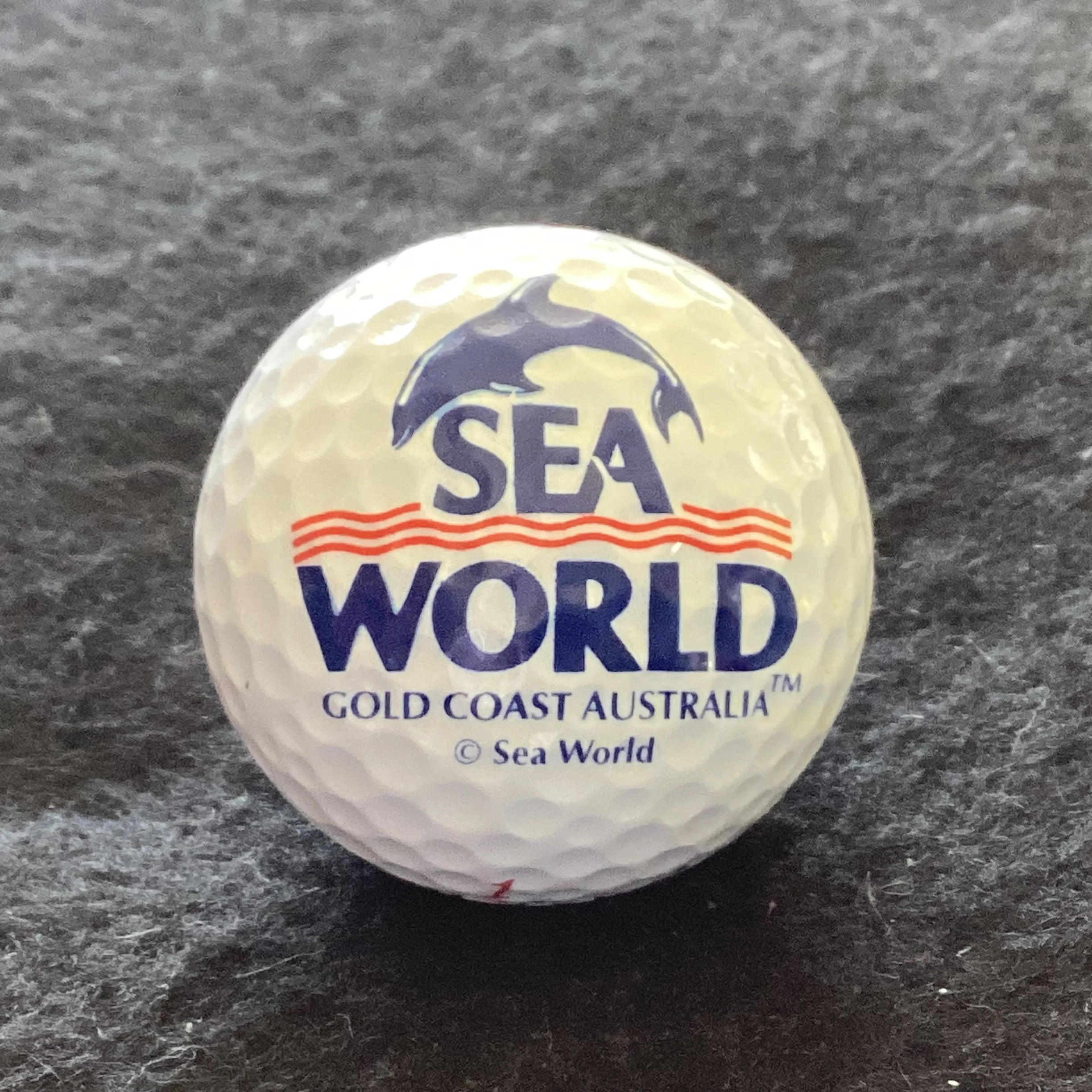 Sea World Theme Park