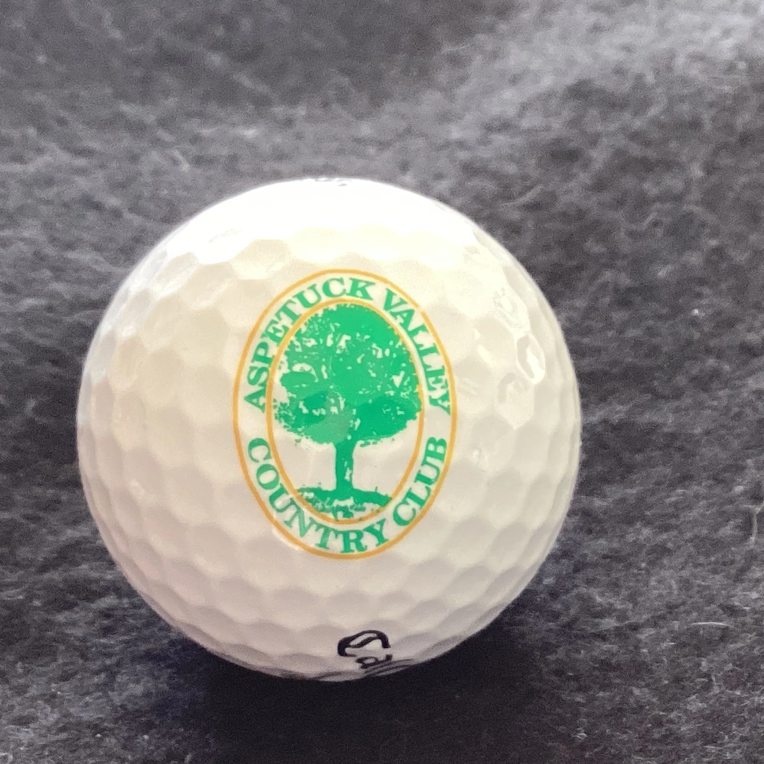 Aspetuck Valley Country Club 