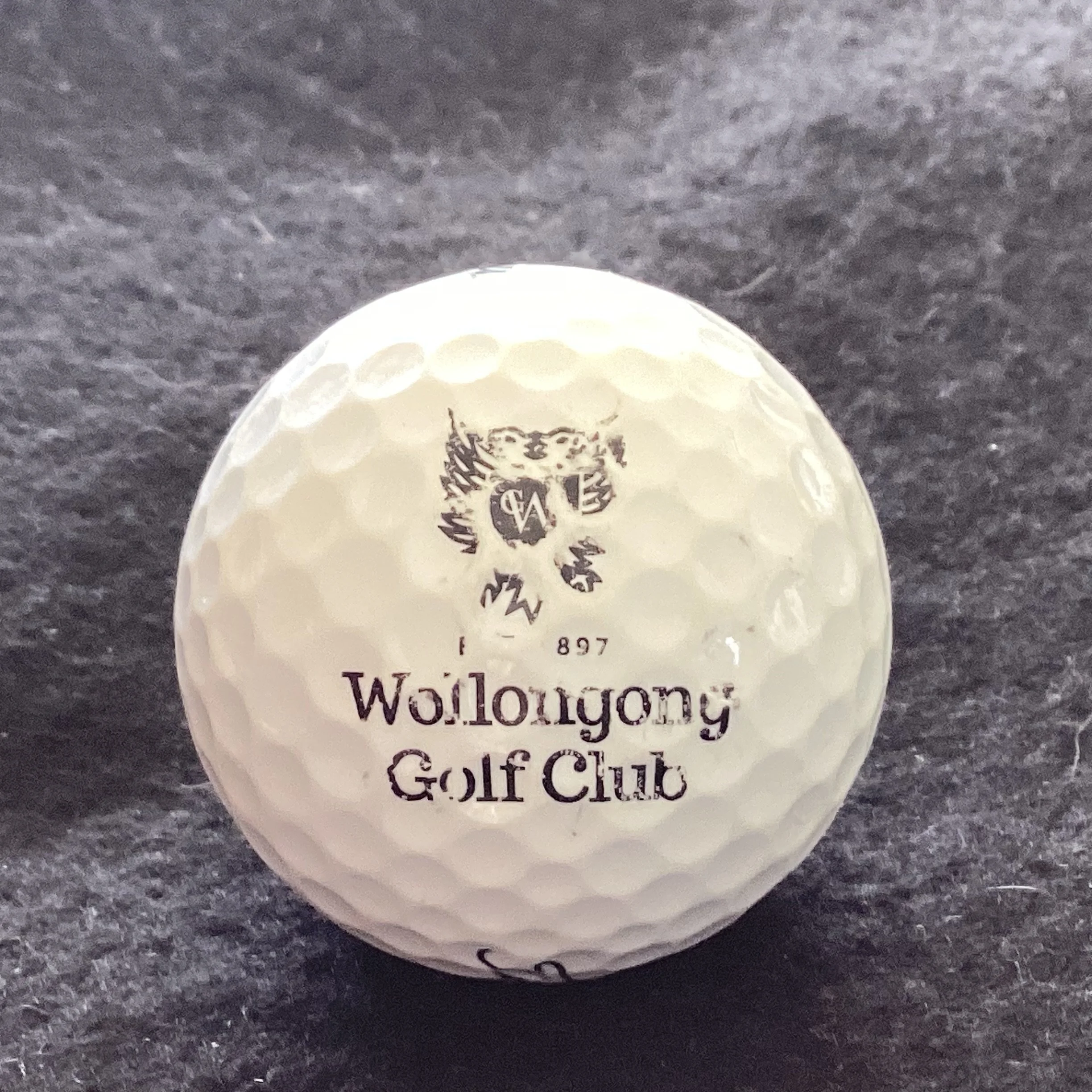 Wollongong Golf Club 