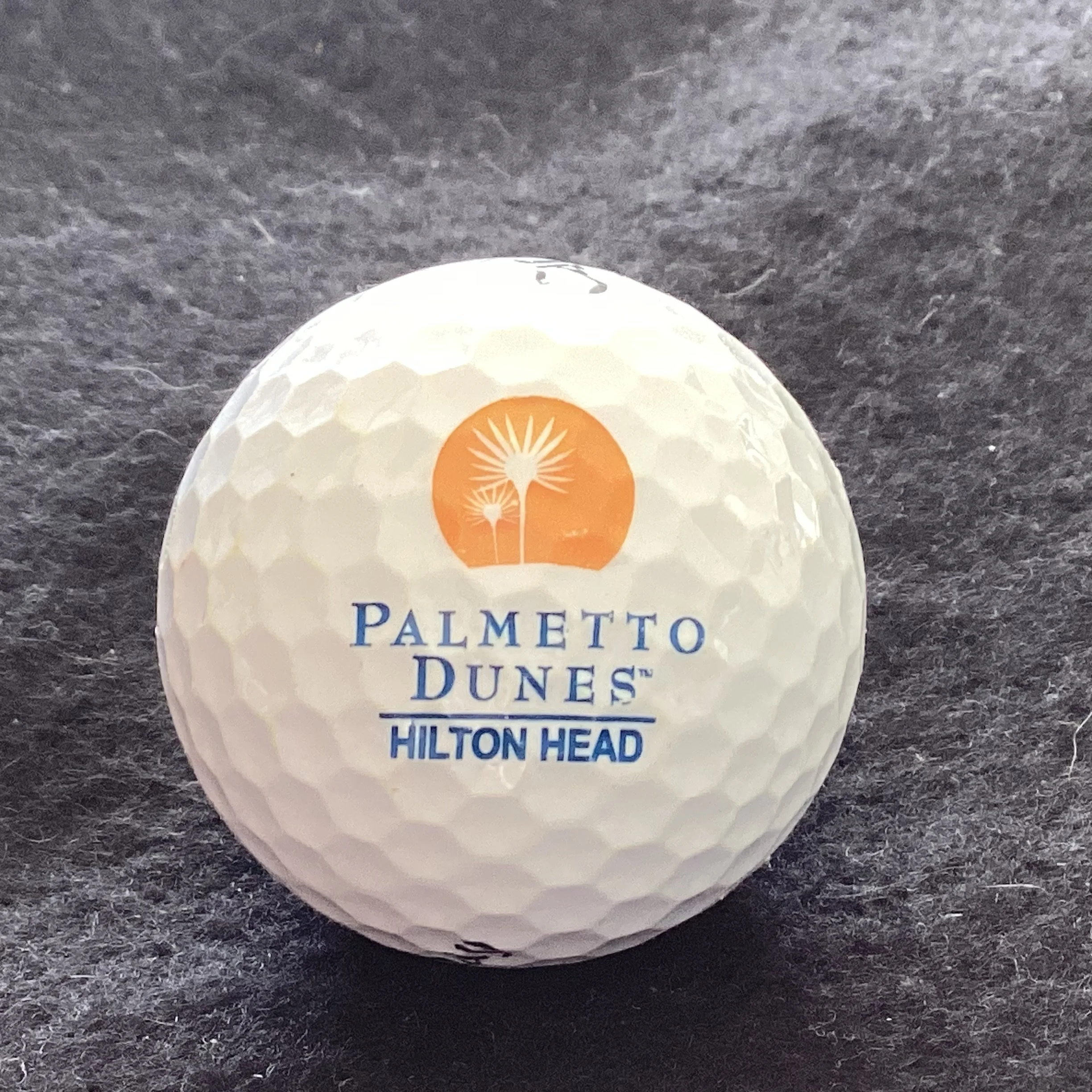 Palmetto Dunes Golf Club 