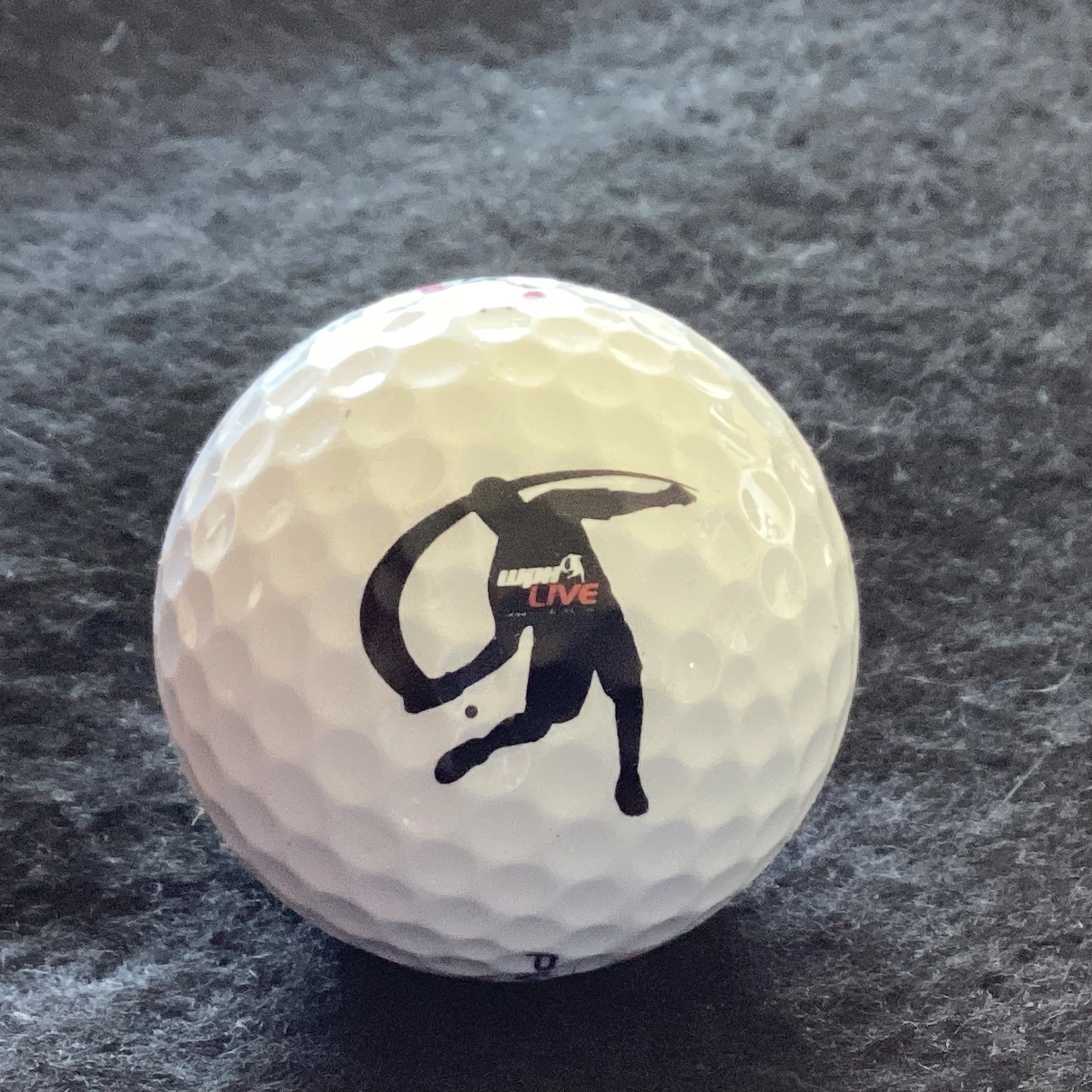 World Players of Handball Foundation