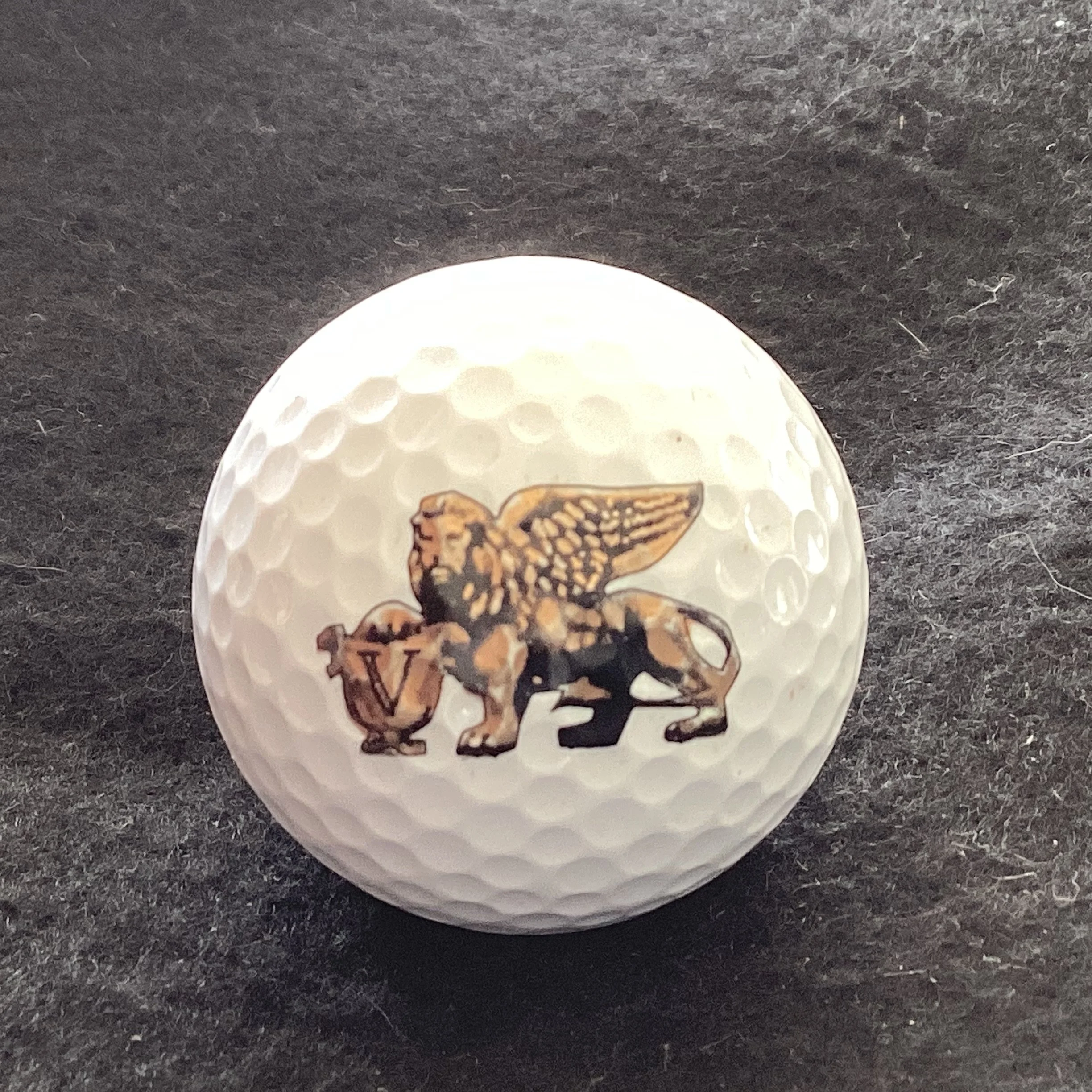 The Venetian Hotel Las Vegas 