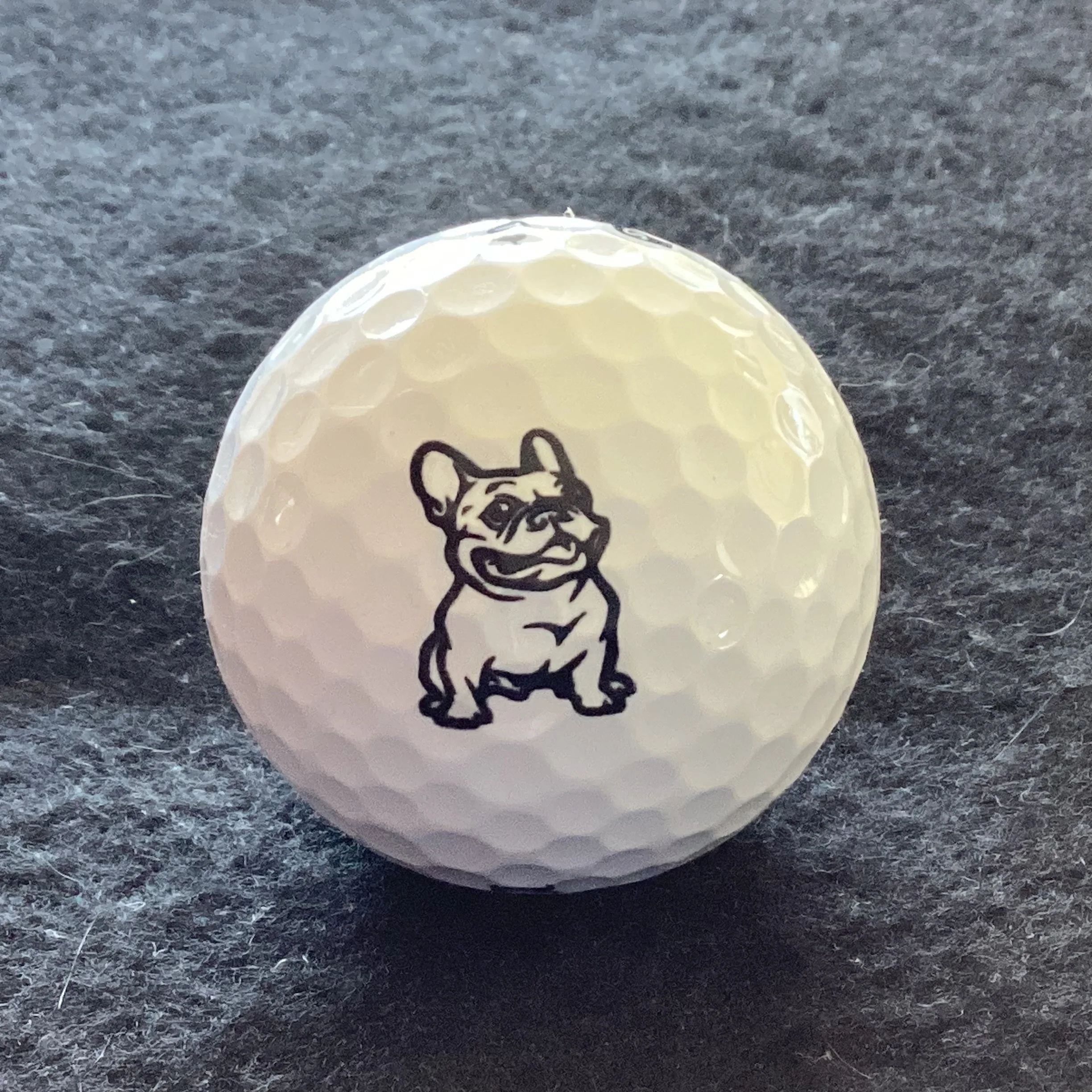 Animals - French Bulldog