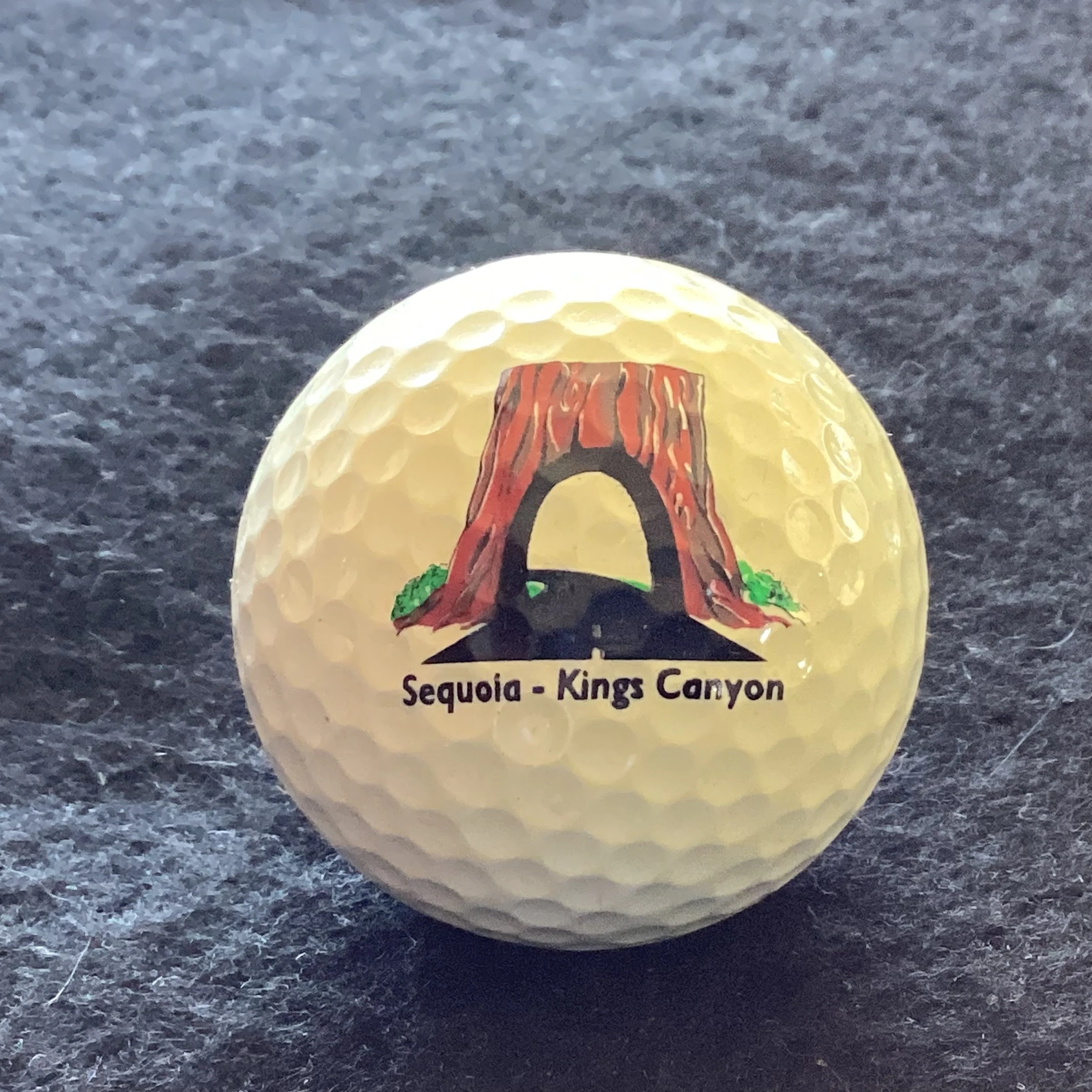 Kings Canyon Sequola