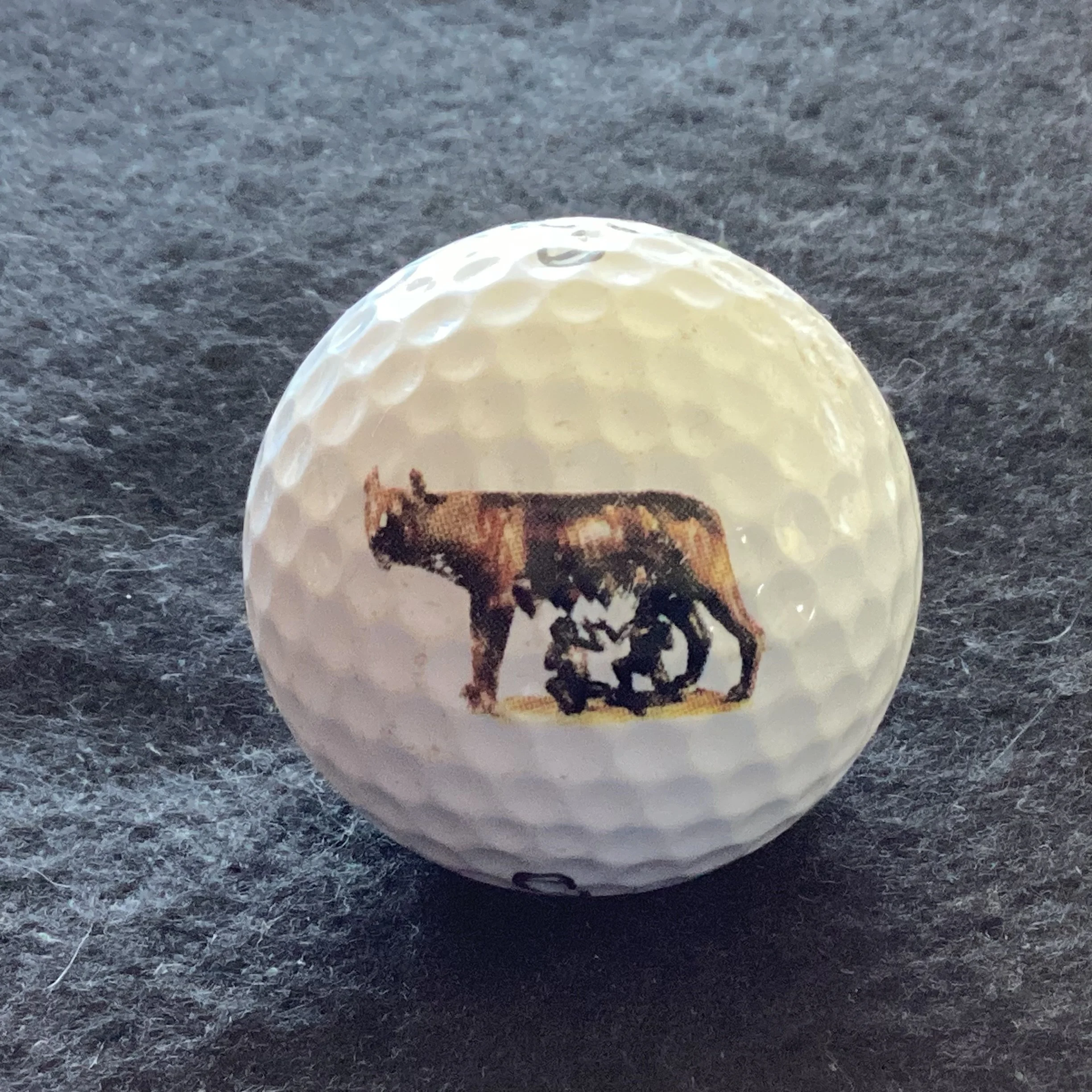 Capitoline Wolf of Rome - Romulus and Remus