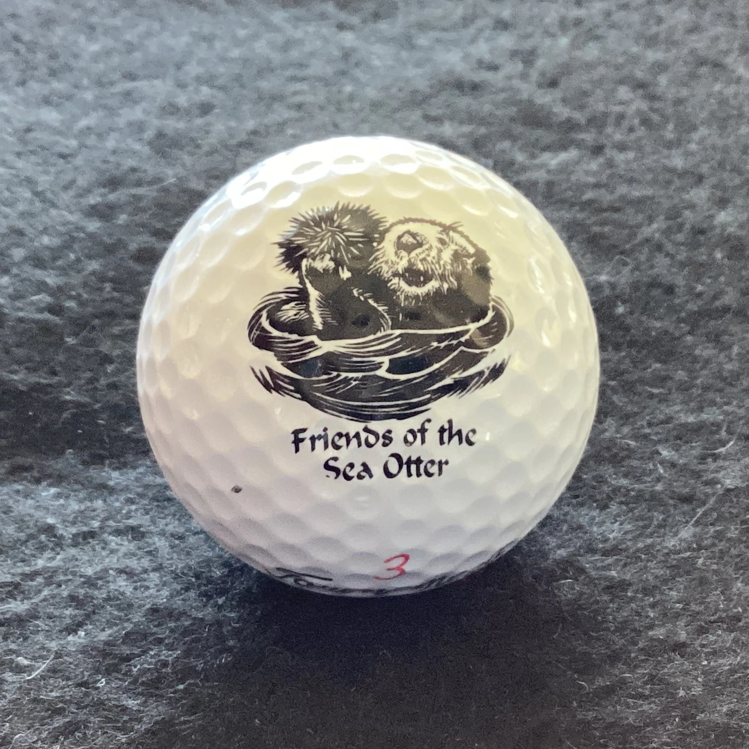 Friends of The Sea Otter